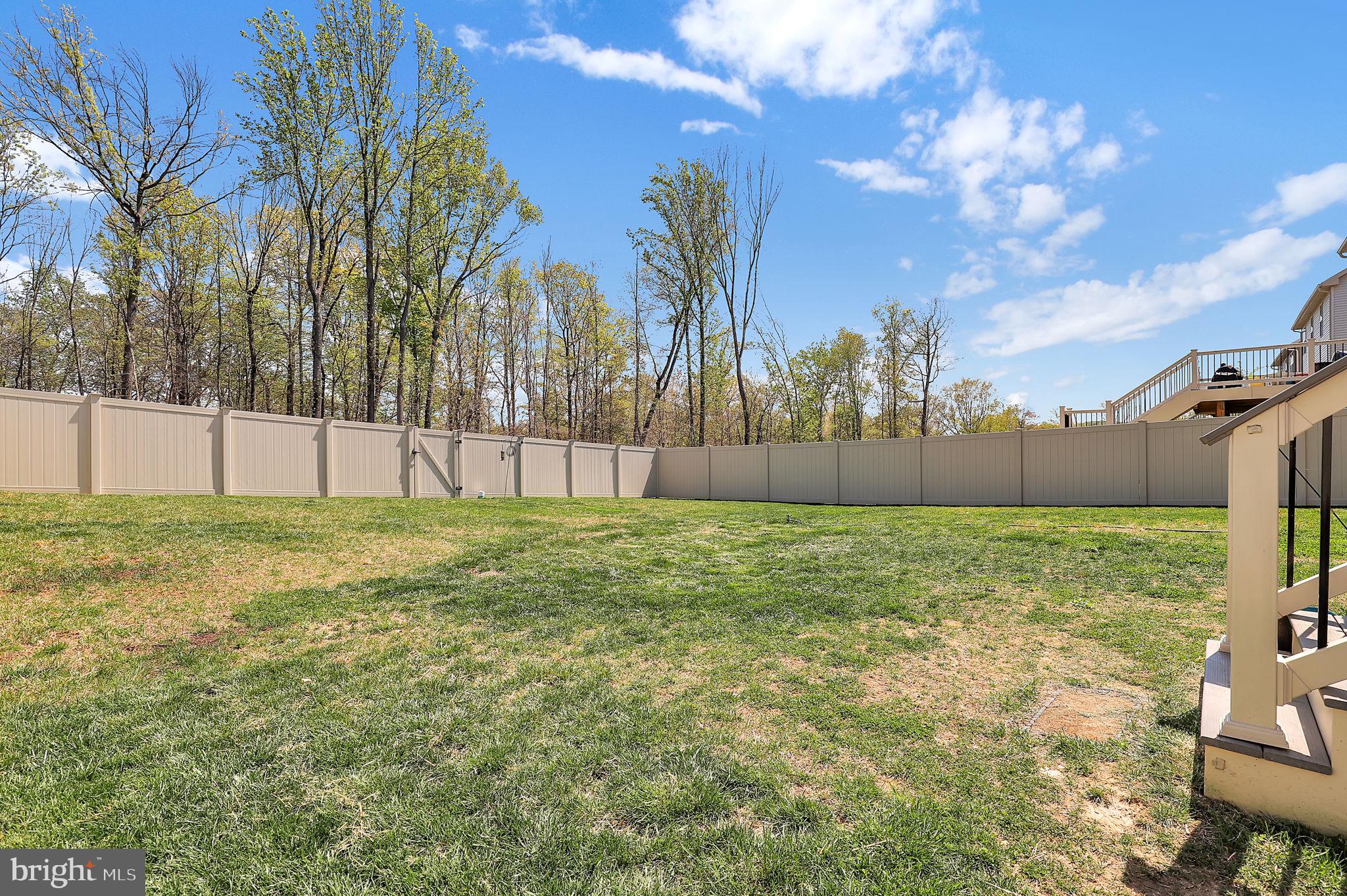 6919 Eaglehead Drive New Market, MD 21774 - Photo 38 of 59 a view of yard with trees