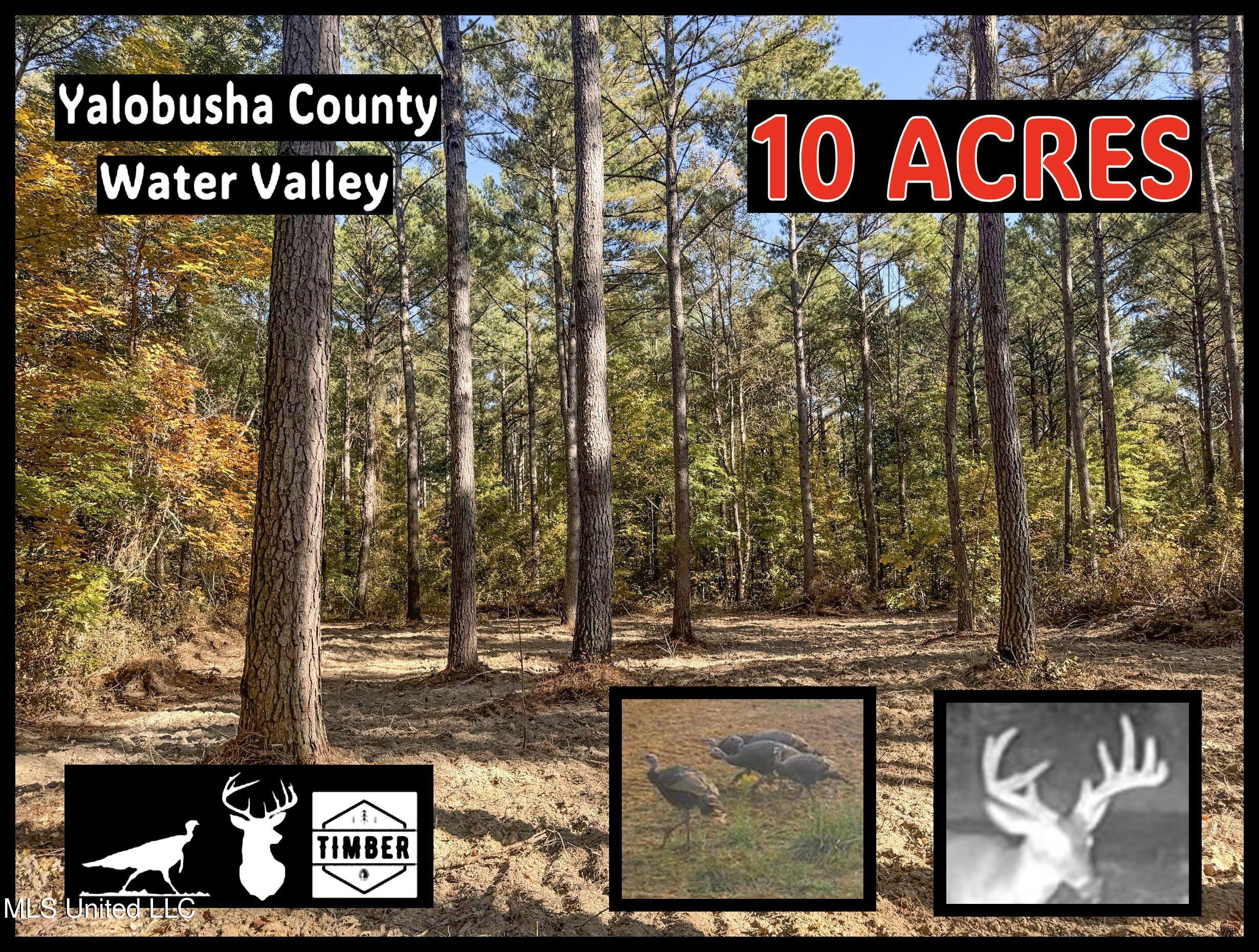 94 - Coleman Road Water Valley, MS 38965 - Photo 1 of 43 1.dh10tc5