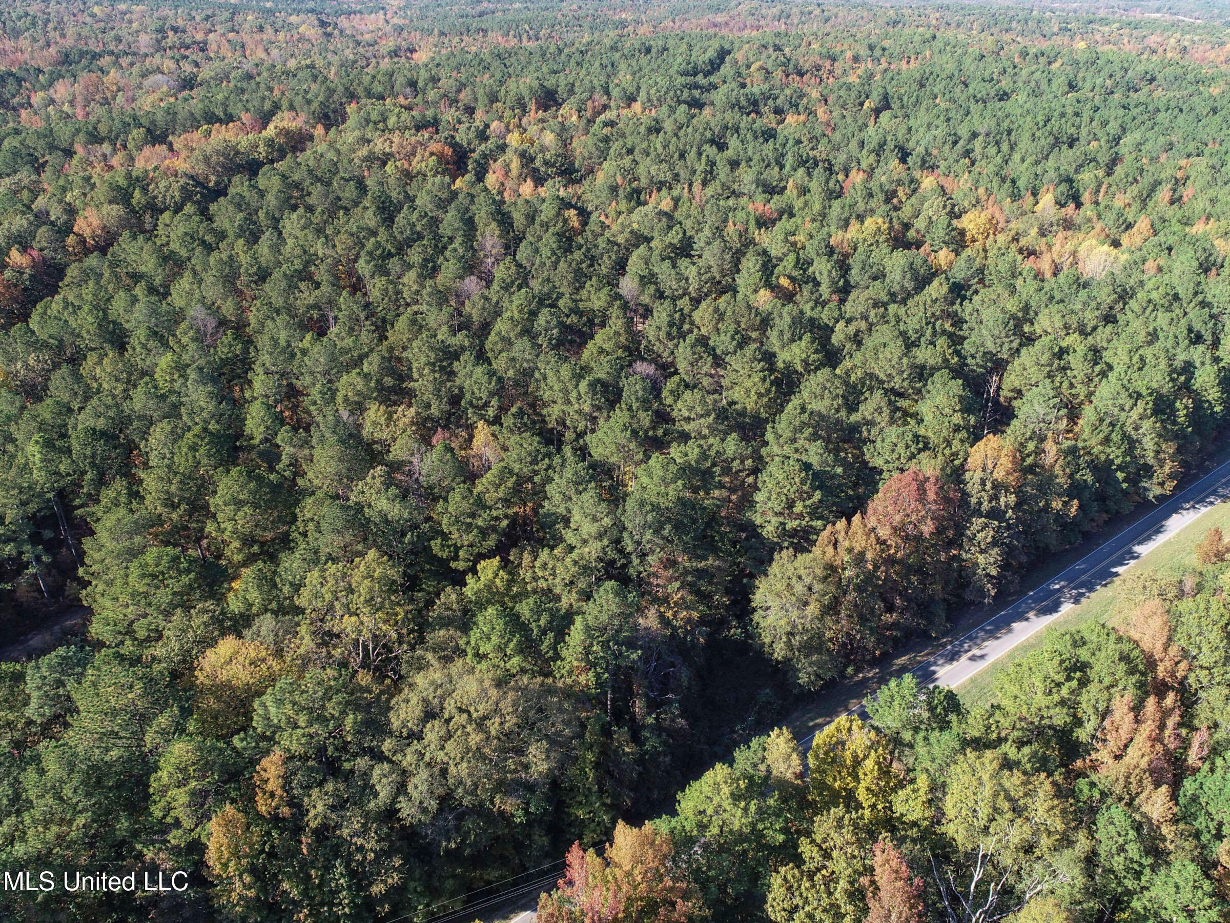 94 - Coleman Road Water Valley, MS 38965 - Photo 13 of 43 2dh10tc3