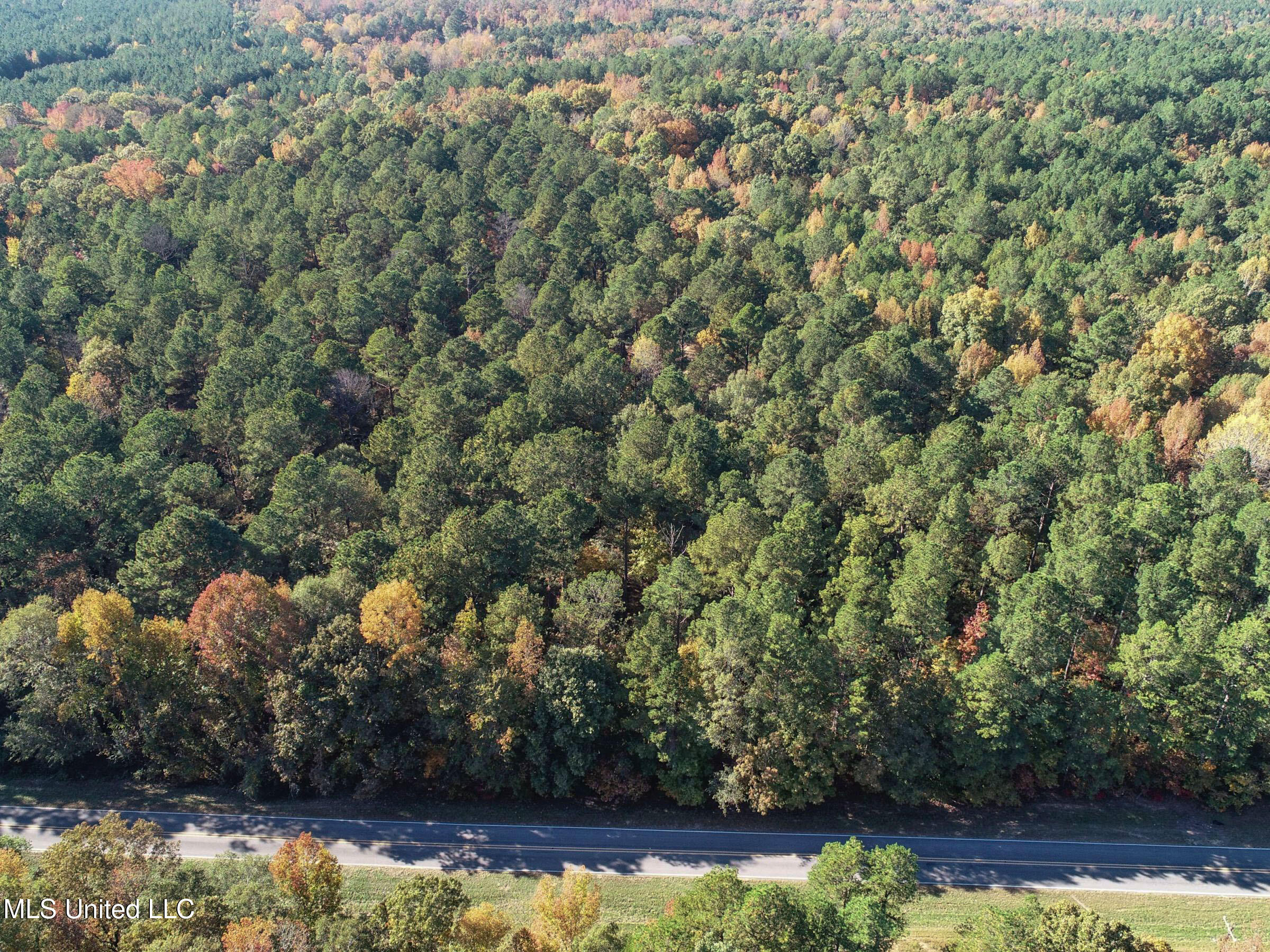 94 - Coleman Road Water Valley, MS 38965 - Photo 15 of 43 2dh10tc5