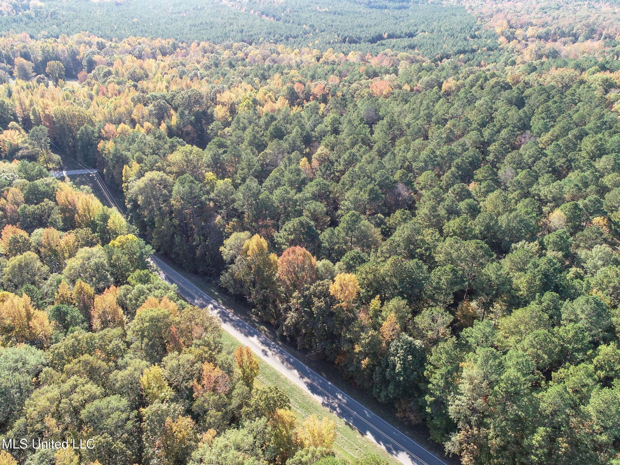 94 - Coleman Road Water Valley, MS 38965 - Photo 16 of 43 2dh10tc6