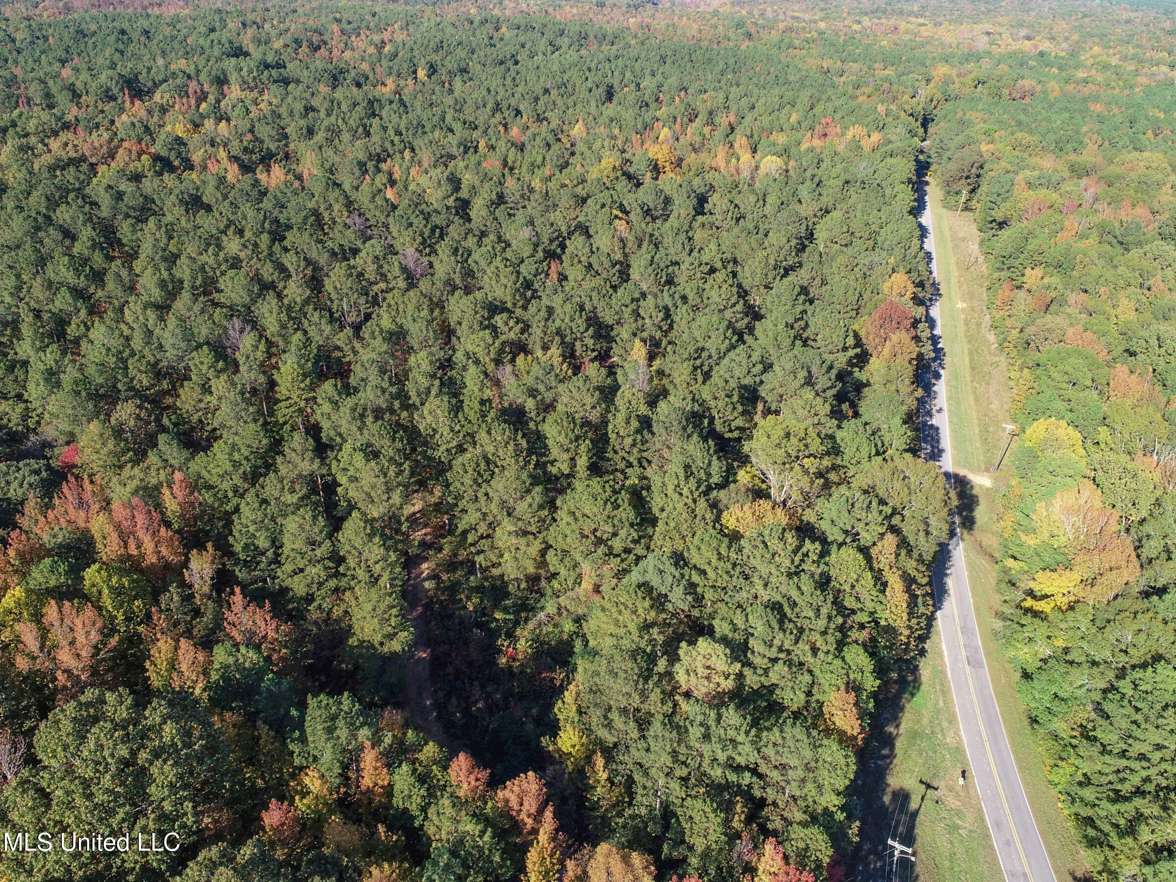 94 - Coleman Road Water Valley, MS 38965 - Photo 18 of 43 2dh10tc8