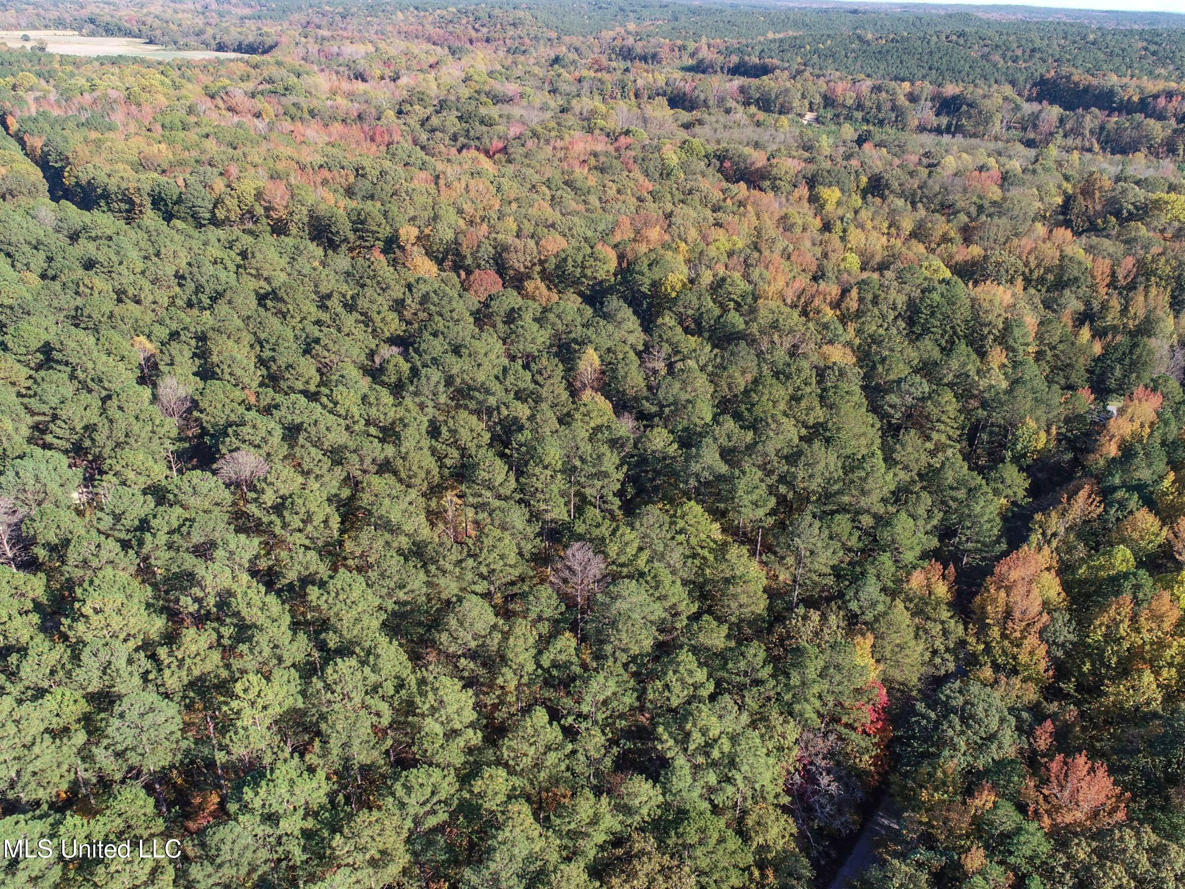 94 - Coleman Road Water Valley, MS 38965 - Photo 20 of 43 2dh10tc10