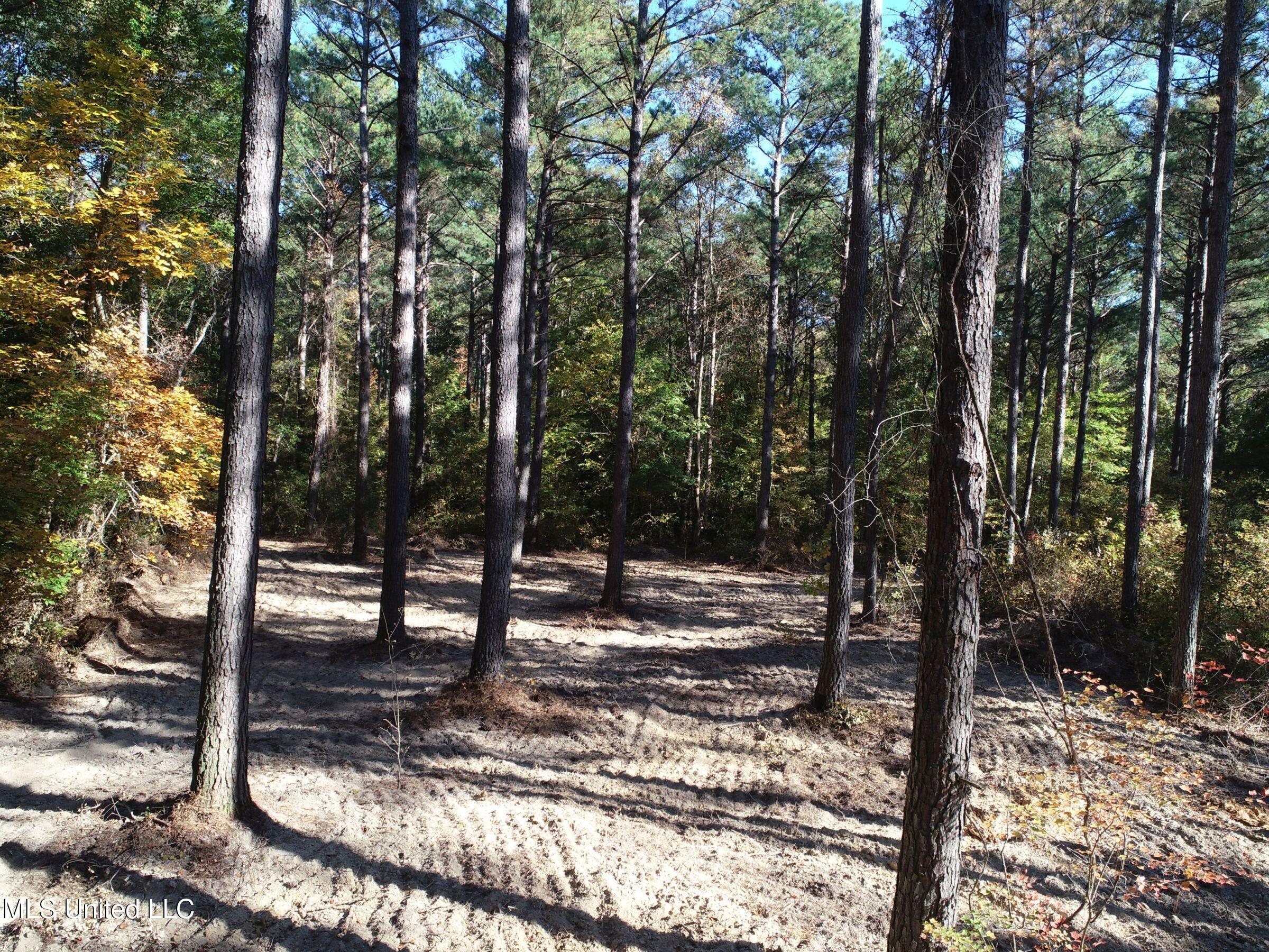 94 - Coleman Road Water Valley, MS 38965 - Photo 21 of 43 2dh10tc11
