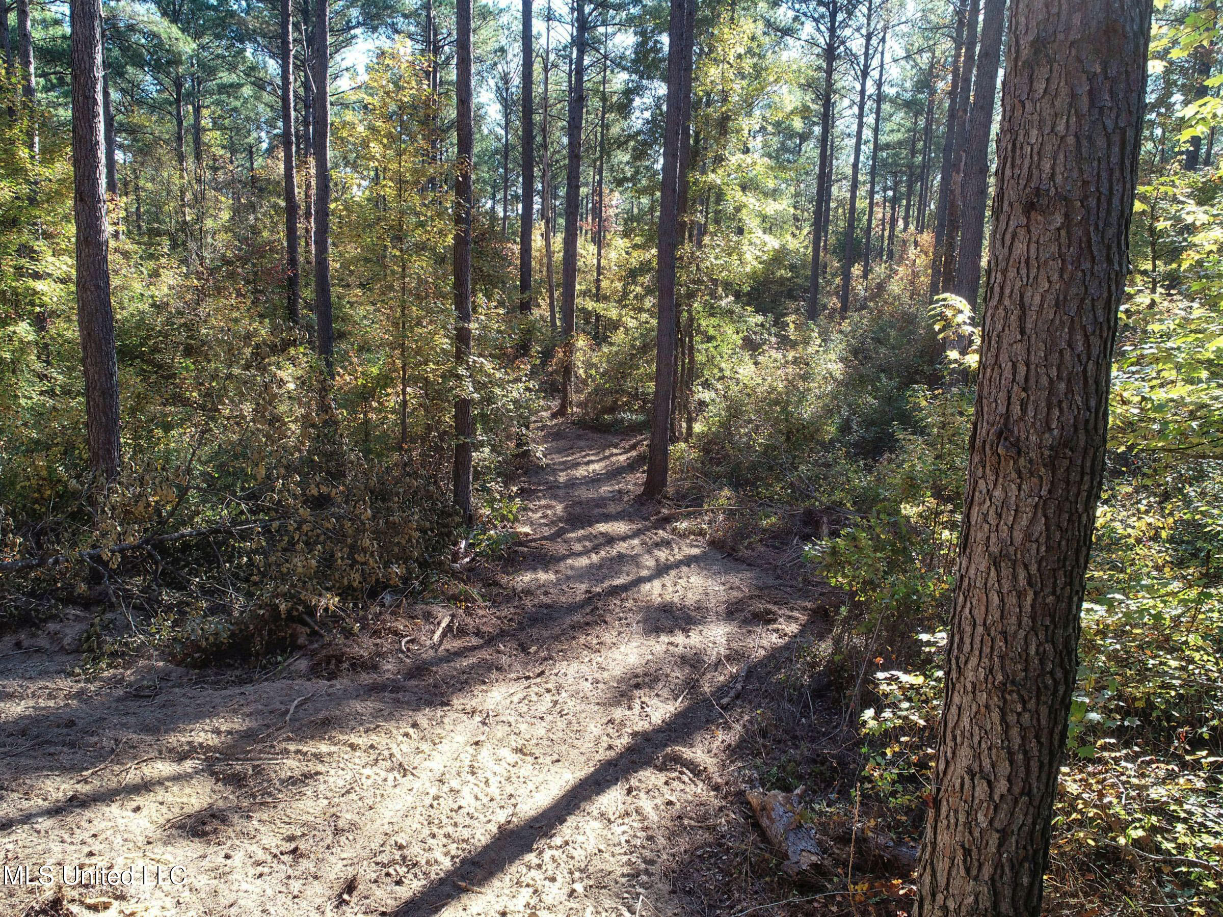 94 - Coleman Road Water Valley, MS 38965 - Photo 23 of 43 2dh10tc13