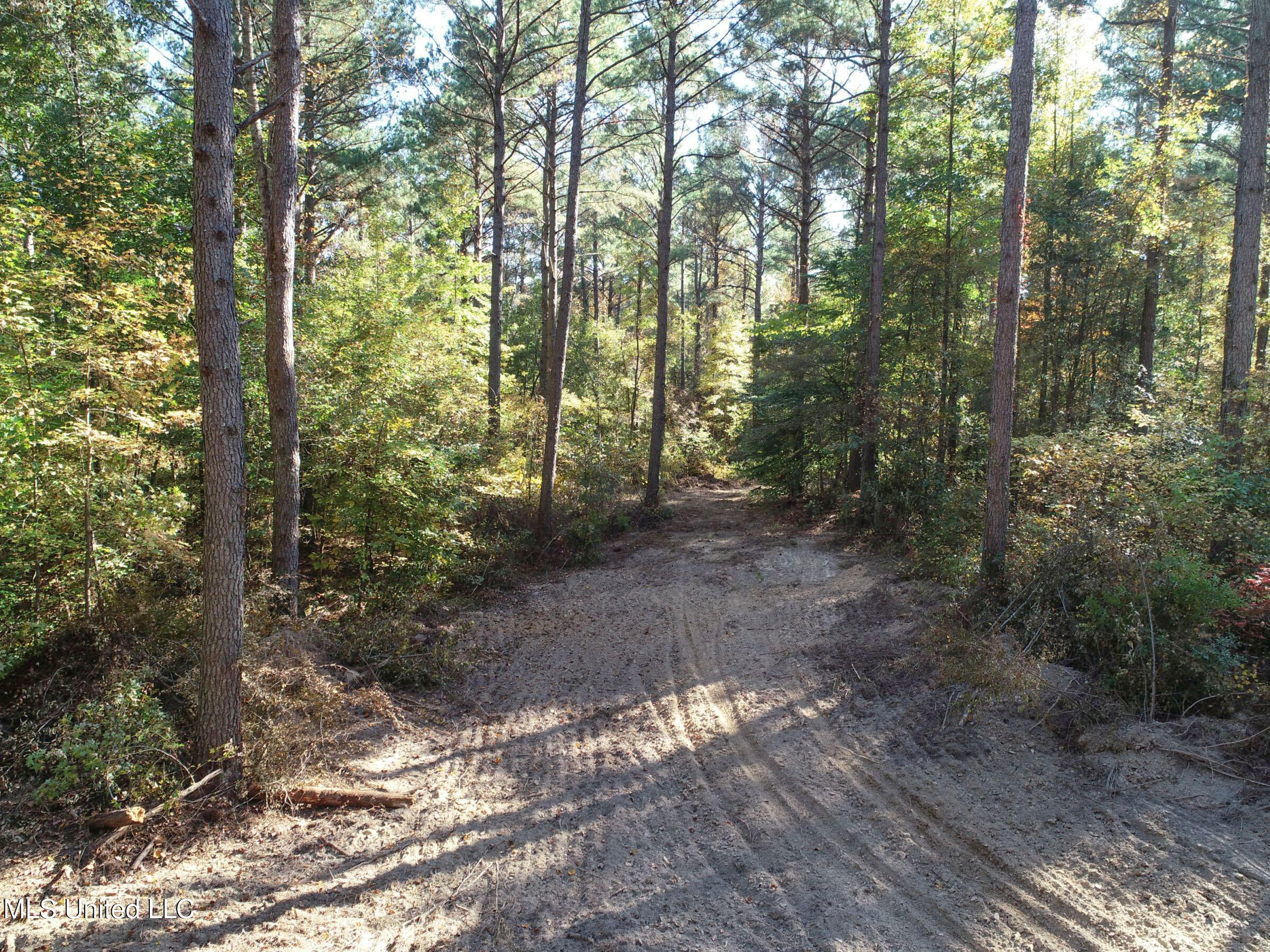 94 - Coleman Road Water Valley, MS 38965 - Photo 26 of 43 2dh10tc16