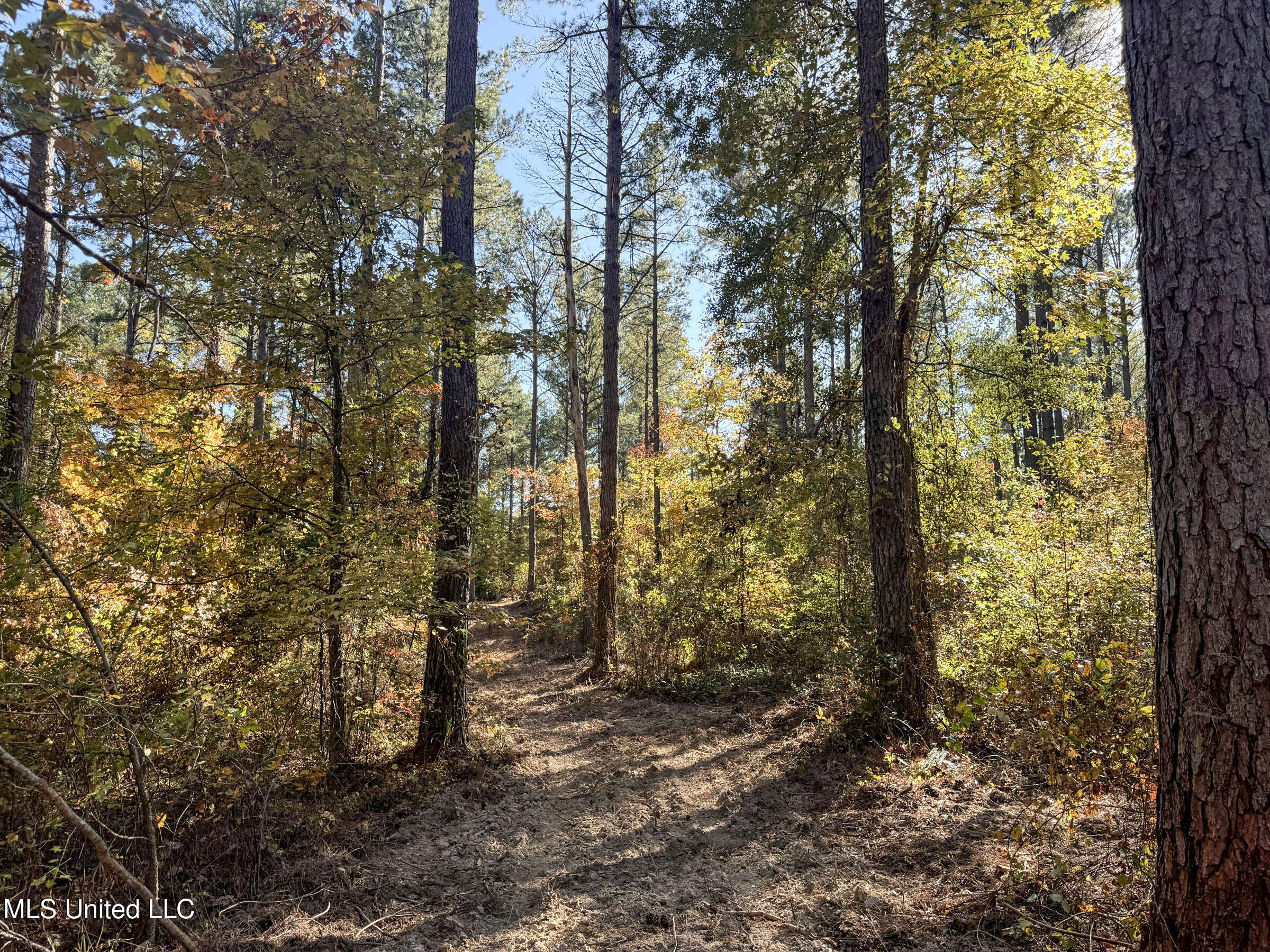 94 - Coleman Road Water Valley, MS 38965 - Photo 30 of 43 2dh10tc25