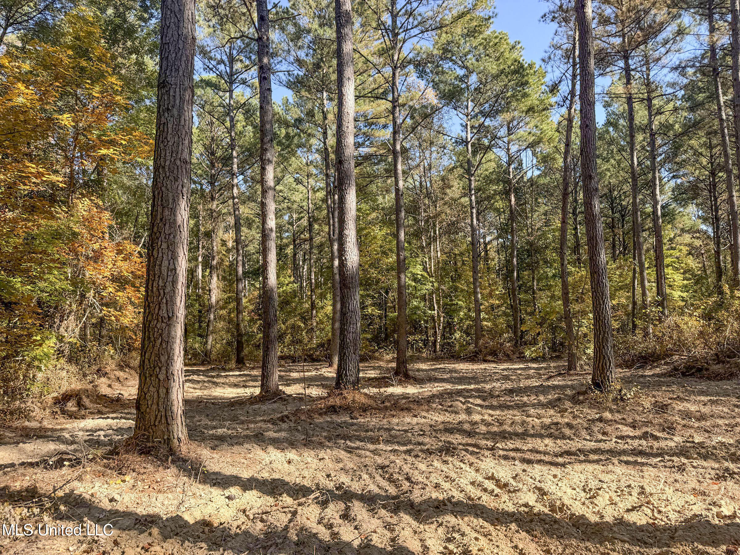94 - Coleman Road Water Valley, MS 38965 - Photo 32 of 43 2dh10tc20