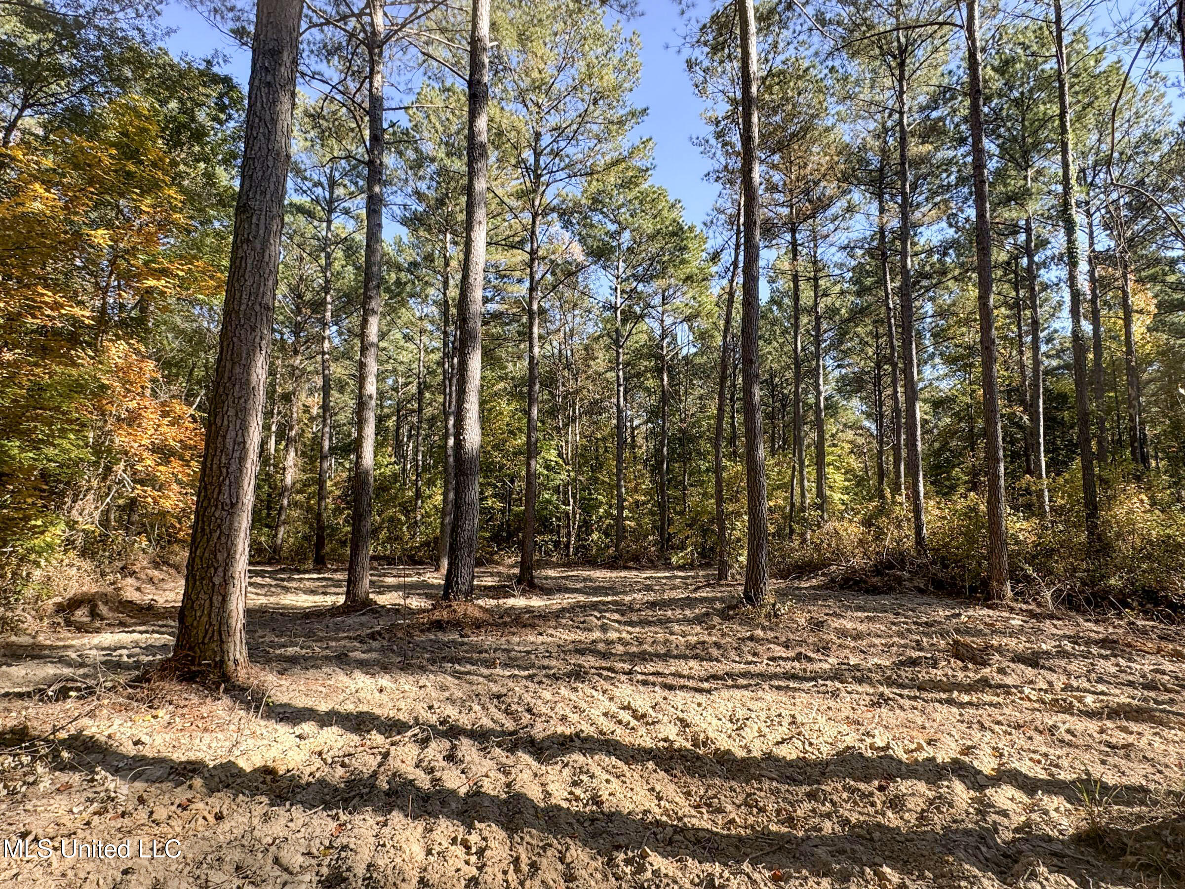 94 - Coleman Road Water Valley, MS 38965 - Photo 33 of 43 2dh10tc21