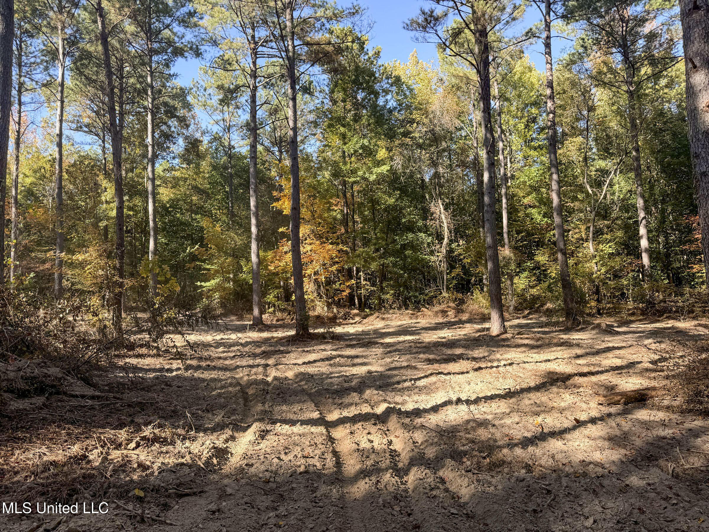 94 - Coleman Road Water Valley, MS 38965 - Photo 34 of 43 2dh10tc22