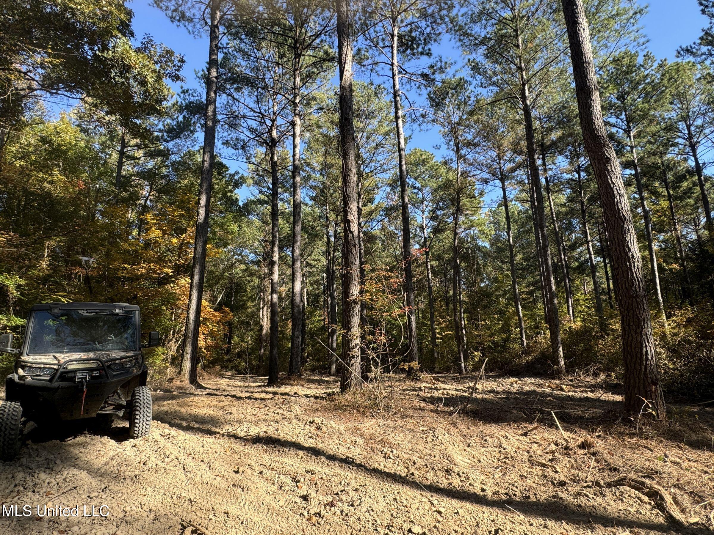 94 - Coleman Road Water Valley, MS 38965 - Photo 38 of 43 2dh10tc28