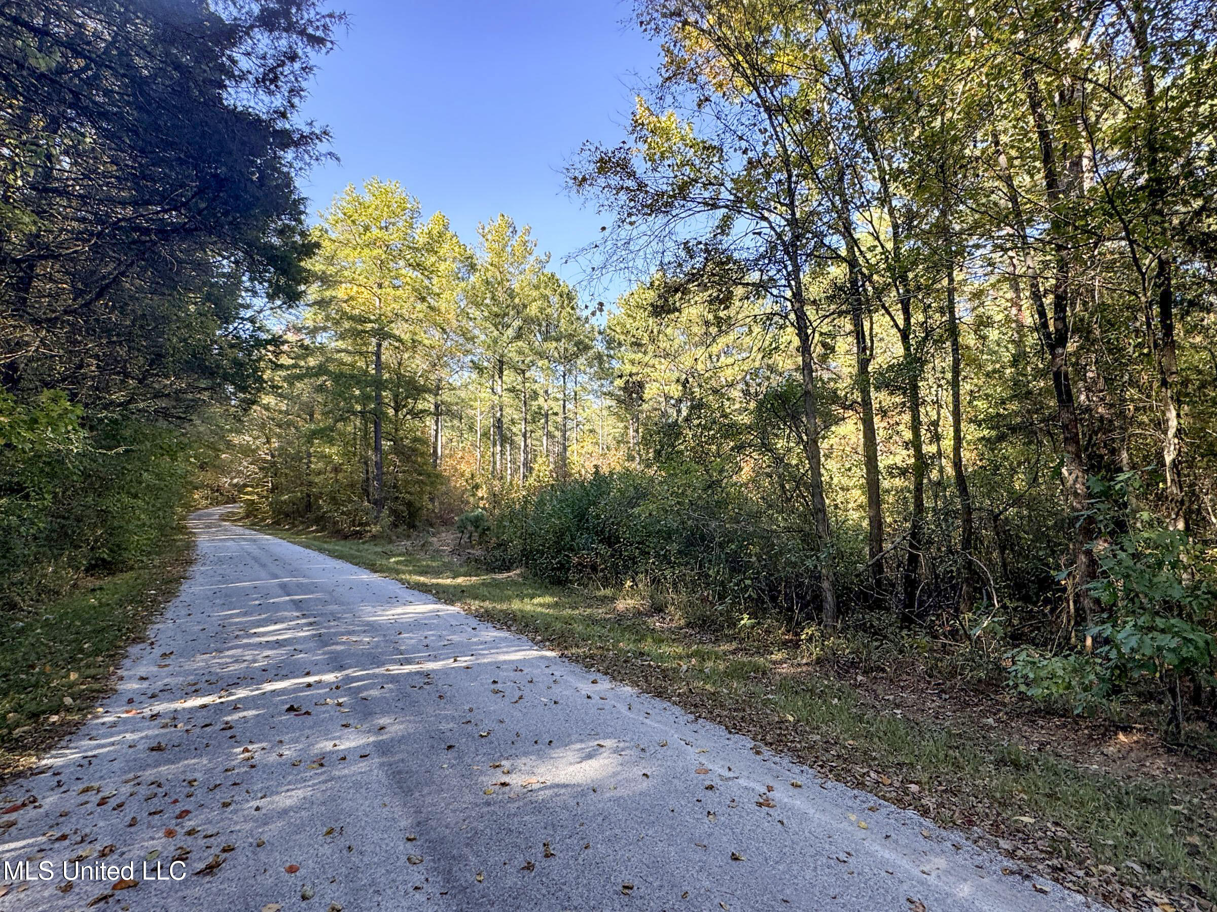 94 - Coleman Road Water Valley, MS 38965 - Photo 40 of 43 2dh10tc31