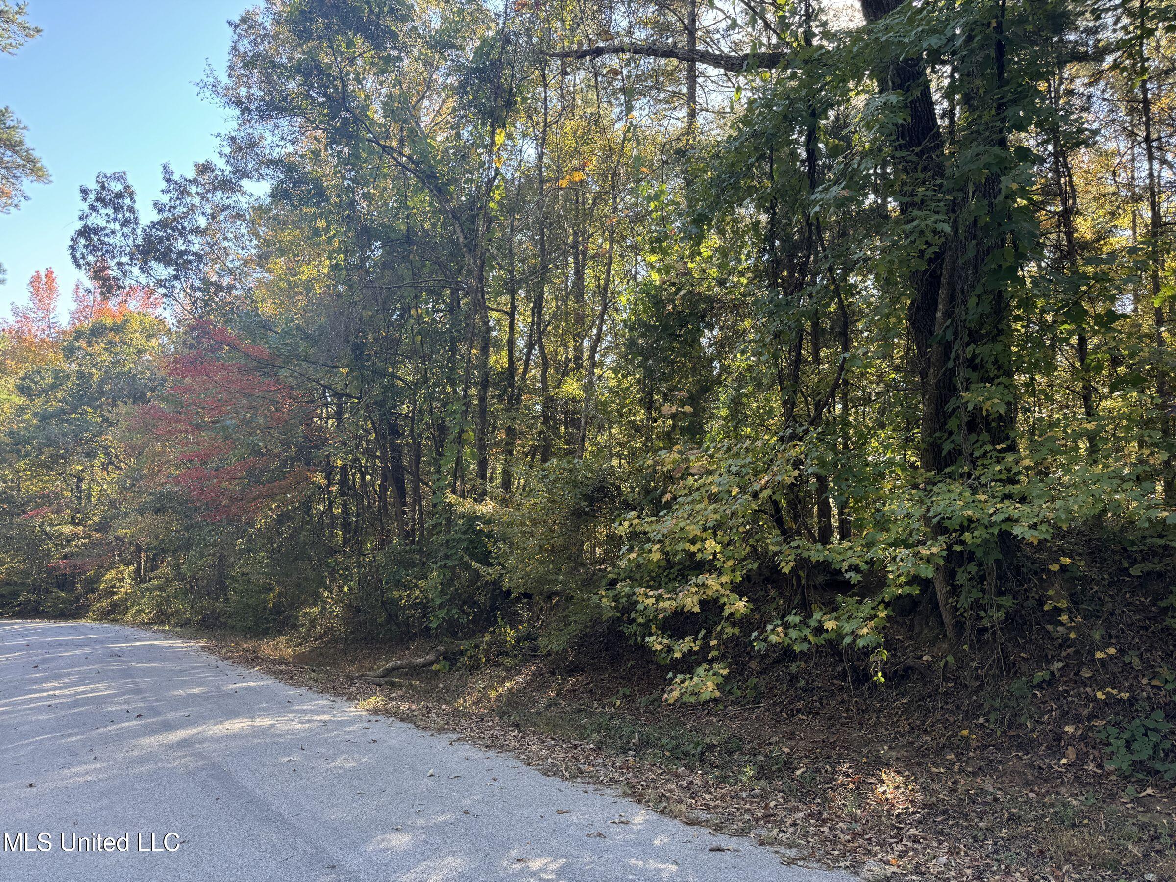 94 - Coleman Road Water Valley, MS 38965 - Photo 42 of 43 2dh10tc35