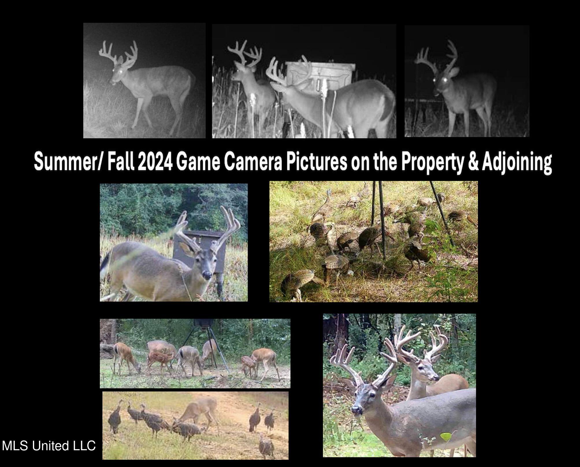 94 - Coleman Road Water Valley, MS 38965 - Photo 5 of 43 1dh38tc4