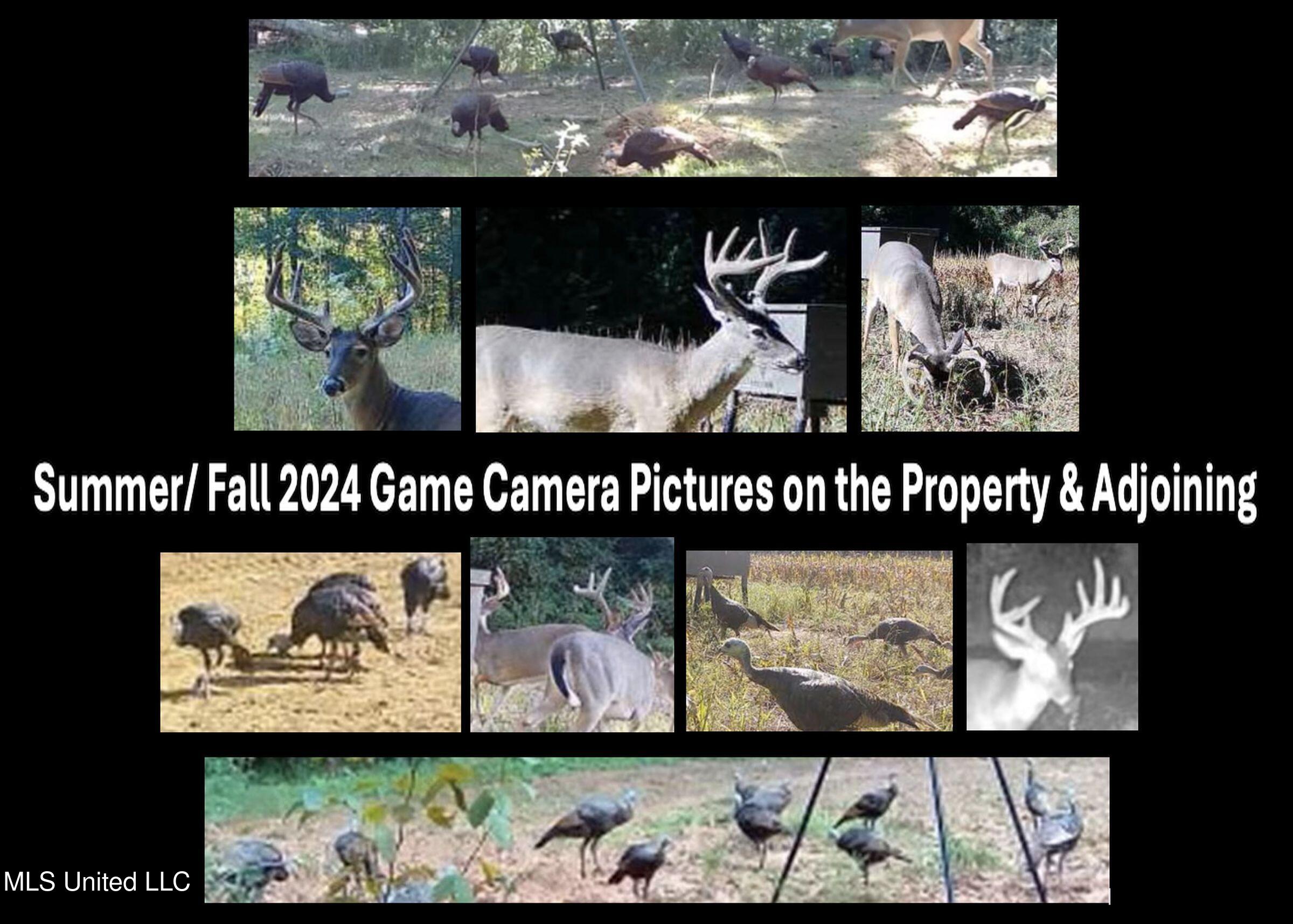 94 - Coleman Road Water Valley, MS 38965 - Photo 6 of 43 1dh38tc5