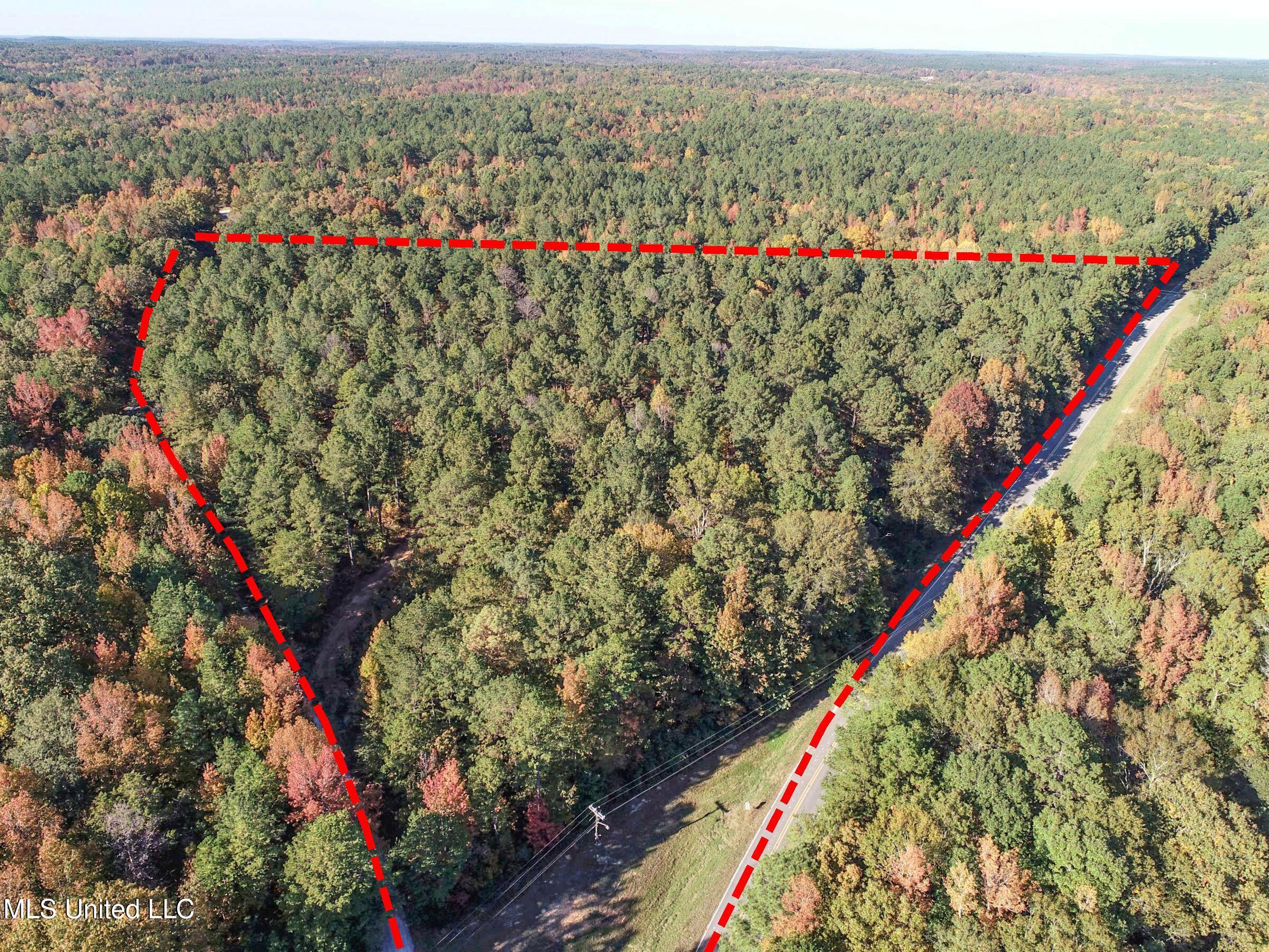 94 - Coleman Road Water Valley, MS 38965 - Photo 9 of 43 2dh10tc1a