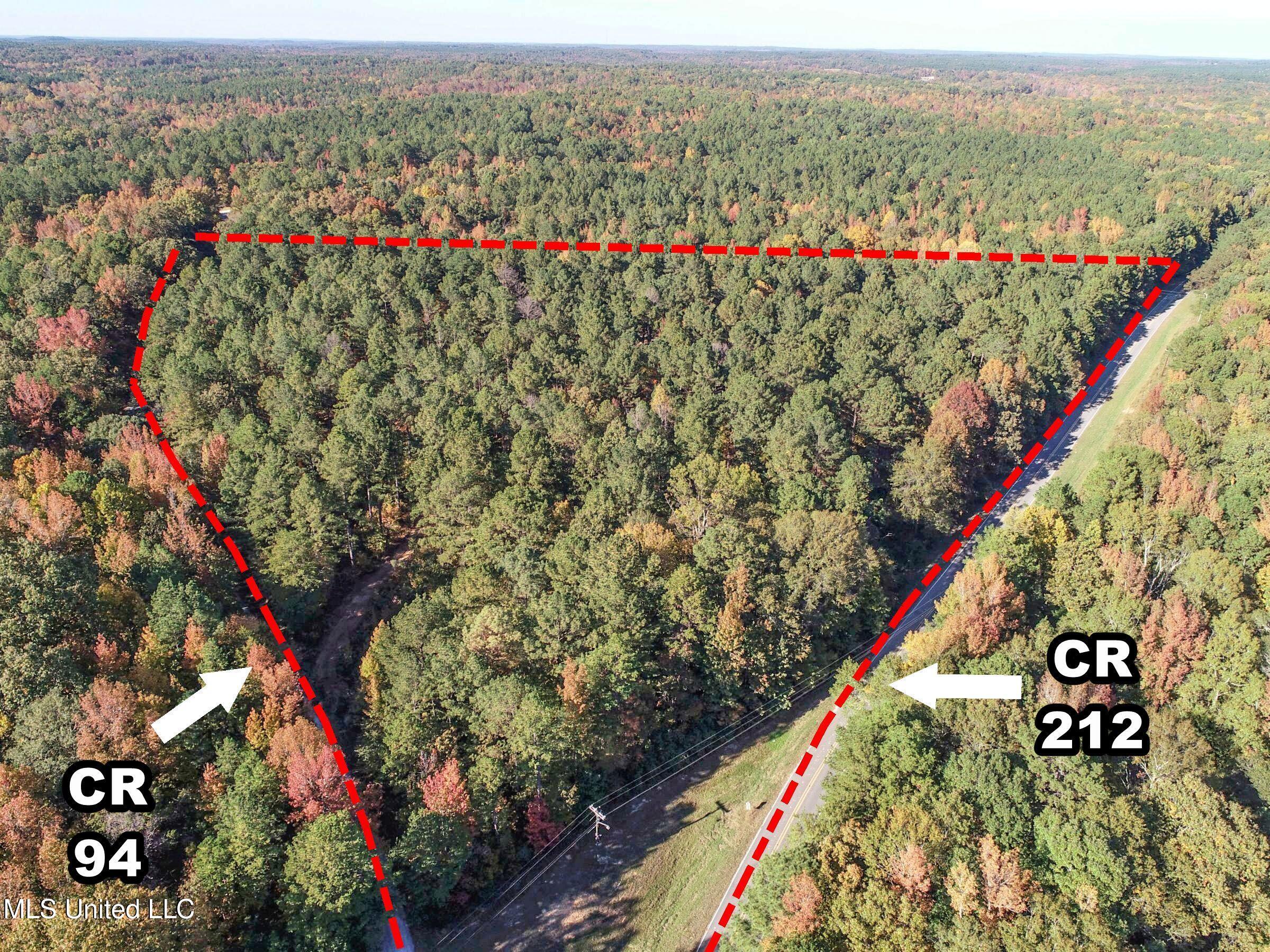 94 - Coleman Road Water Valley, MS 38965 - Photo 10 of 43 2dh10tc1ab
