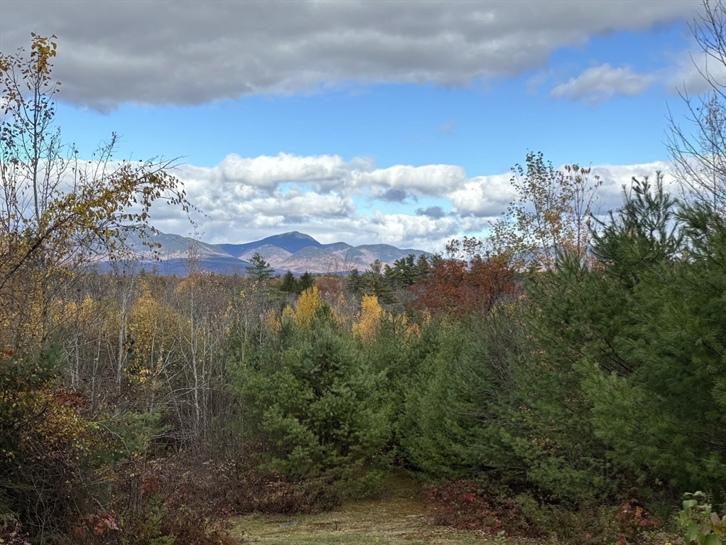 454 Little Pond Road Sandwich, NH 03227 - Photo 2 of 42