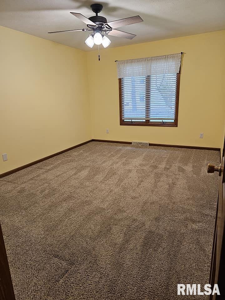 2414 Checkerberry Lane Springfield, IL 62711 - Photo 16 of 20