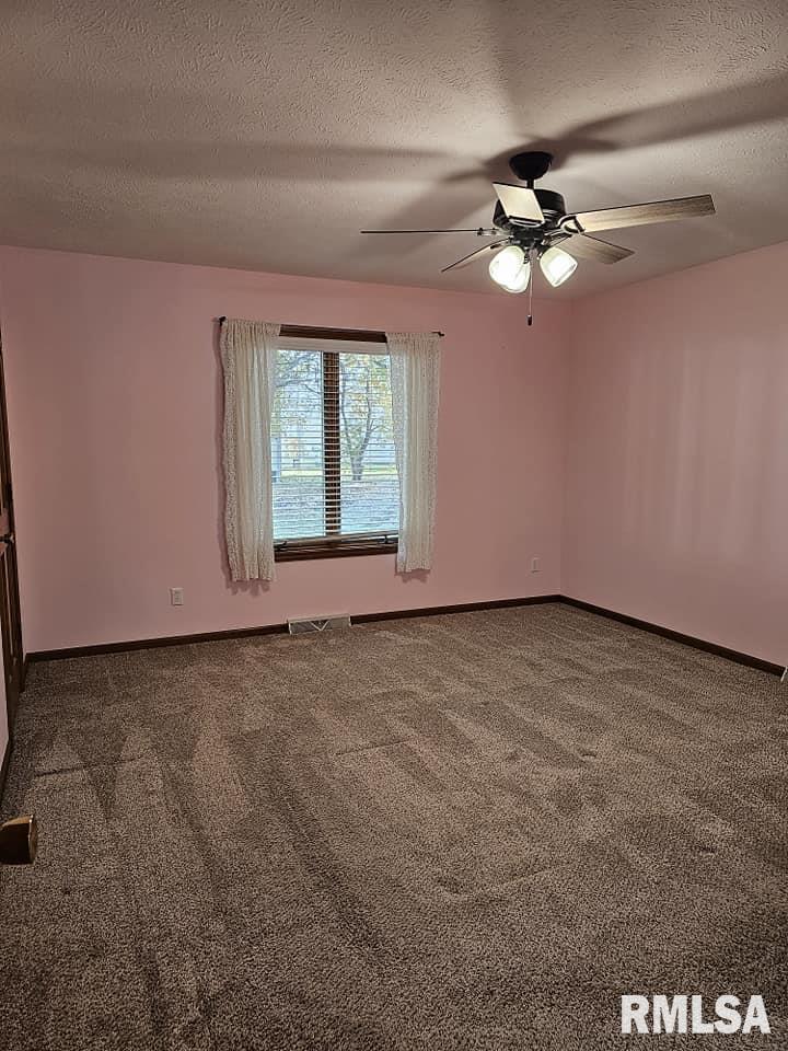 2414 Checkerberry Lane Springfield, IL 62711 - Photo 10 of 20