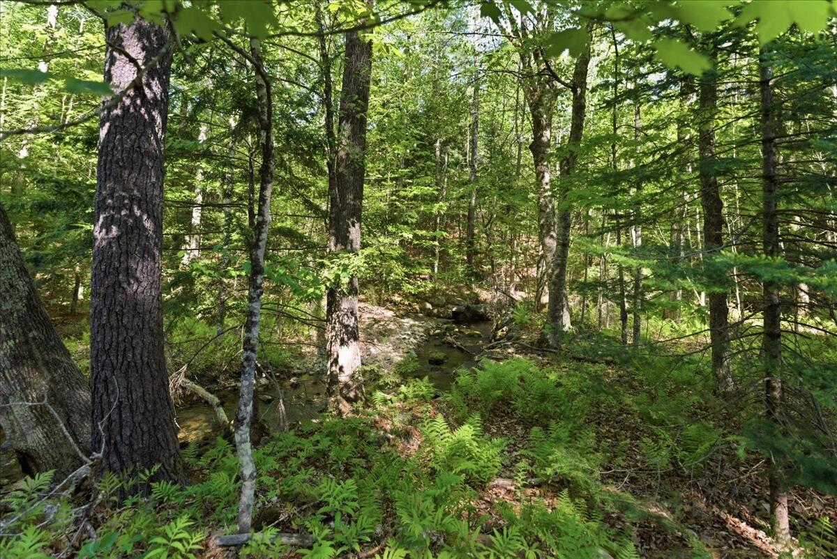 263 Number Six Road Oxford, ME 04270 - Photo 21 of 72 Acreage