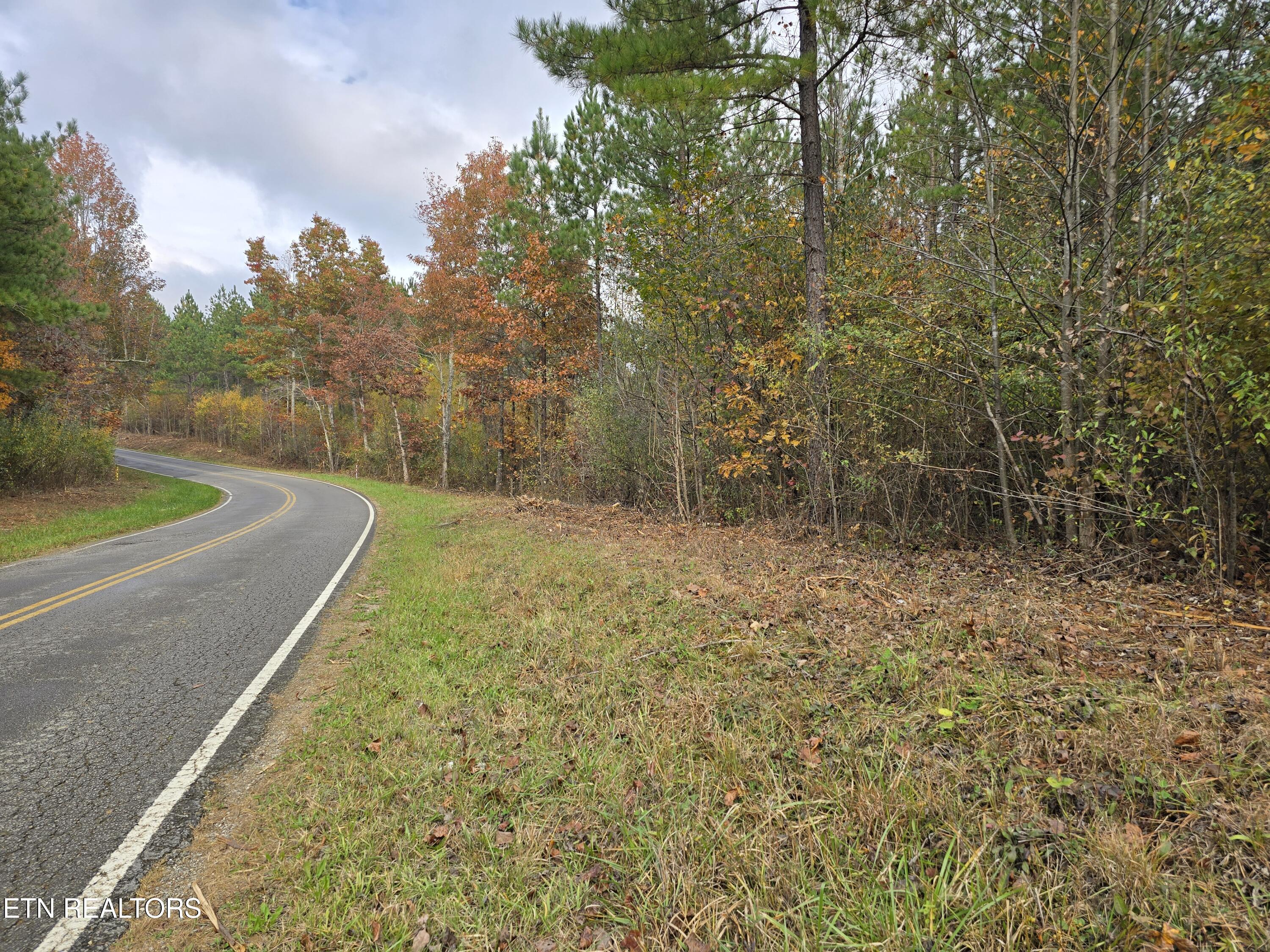 Lot 5 West Robbins Road Robbins, TN 37852 - Photo 5 of 7 Lot 5 Holly Woods (6)