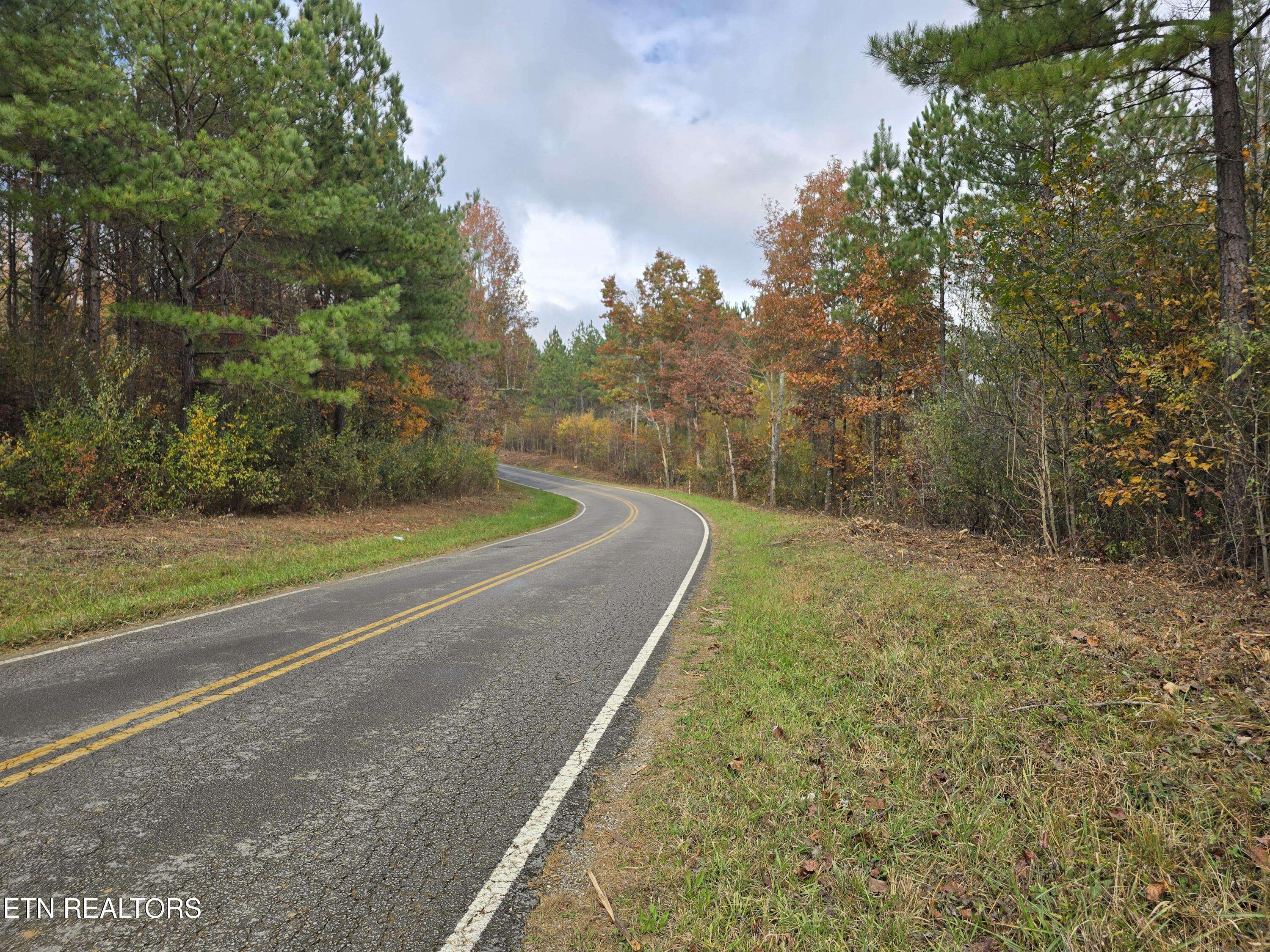 Lot 5 West Robbins Road Robbins, TN 37852 - Photo 6 of 7 Lot 5 Holly Woods (7)