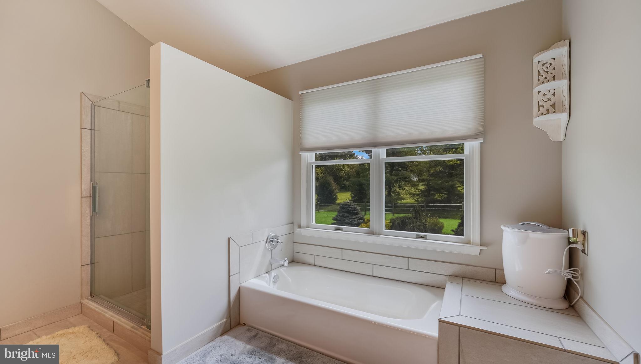 5069 Ryan Road Pipersville, PA 18947 - Photo 28 of 48 Sun drenched Soaking Tub Primary Bath