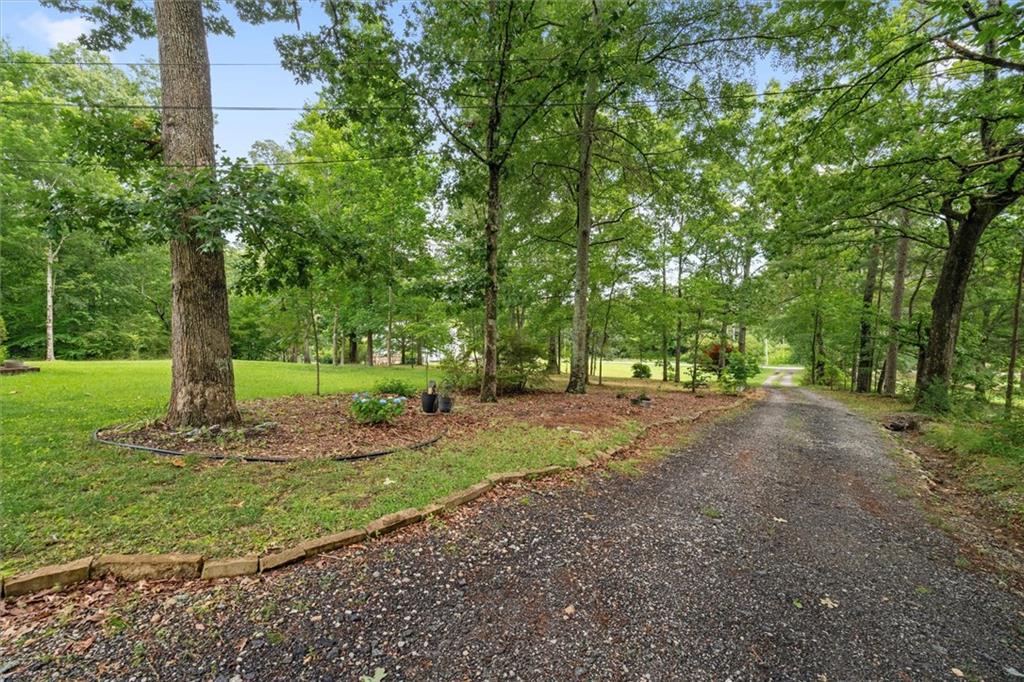 1267 Austin Bridge Road Douglasville, GA 30134 - Photo 30 of 66 a view of a tree in the middle of a yard