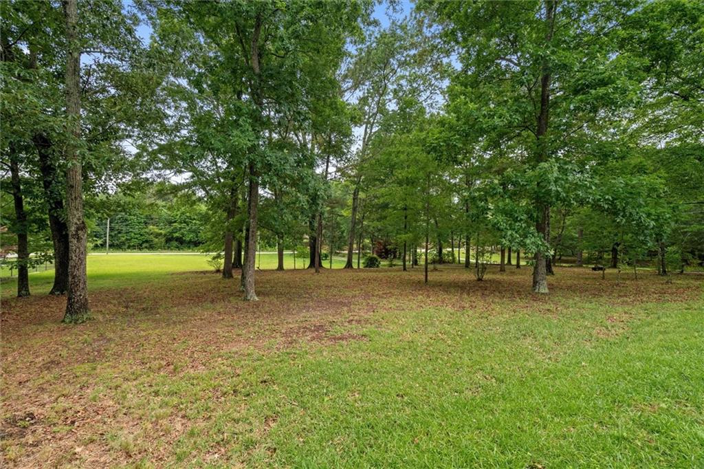 1267 Austin Bridge Road Douglasville, GA 30134 - Photo 31 of 66 a view of a tree in a park