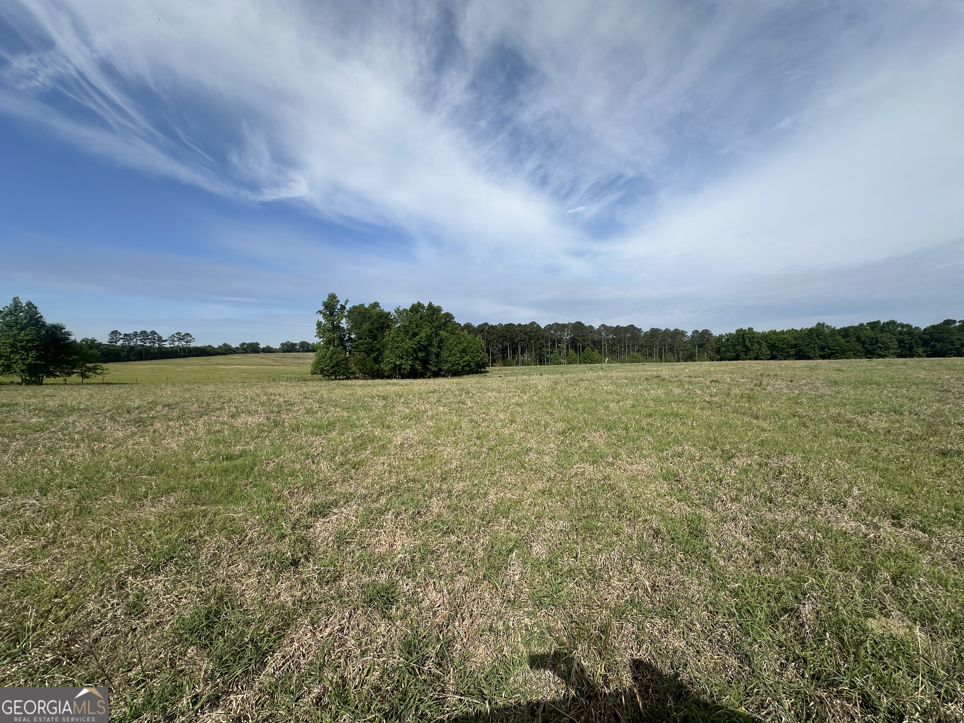 1309 Jarrell Pond Road Sylvania, GA 30467 - Photo 12 of 42