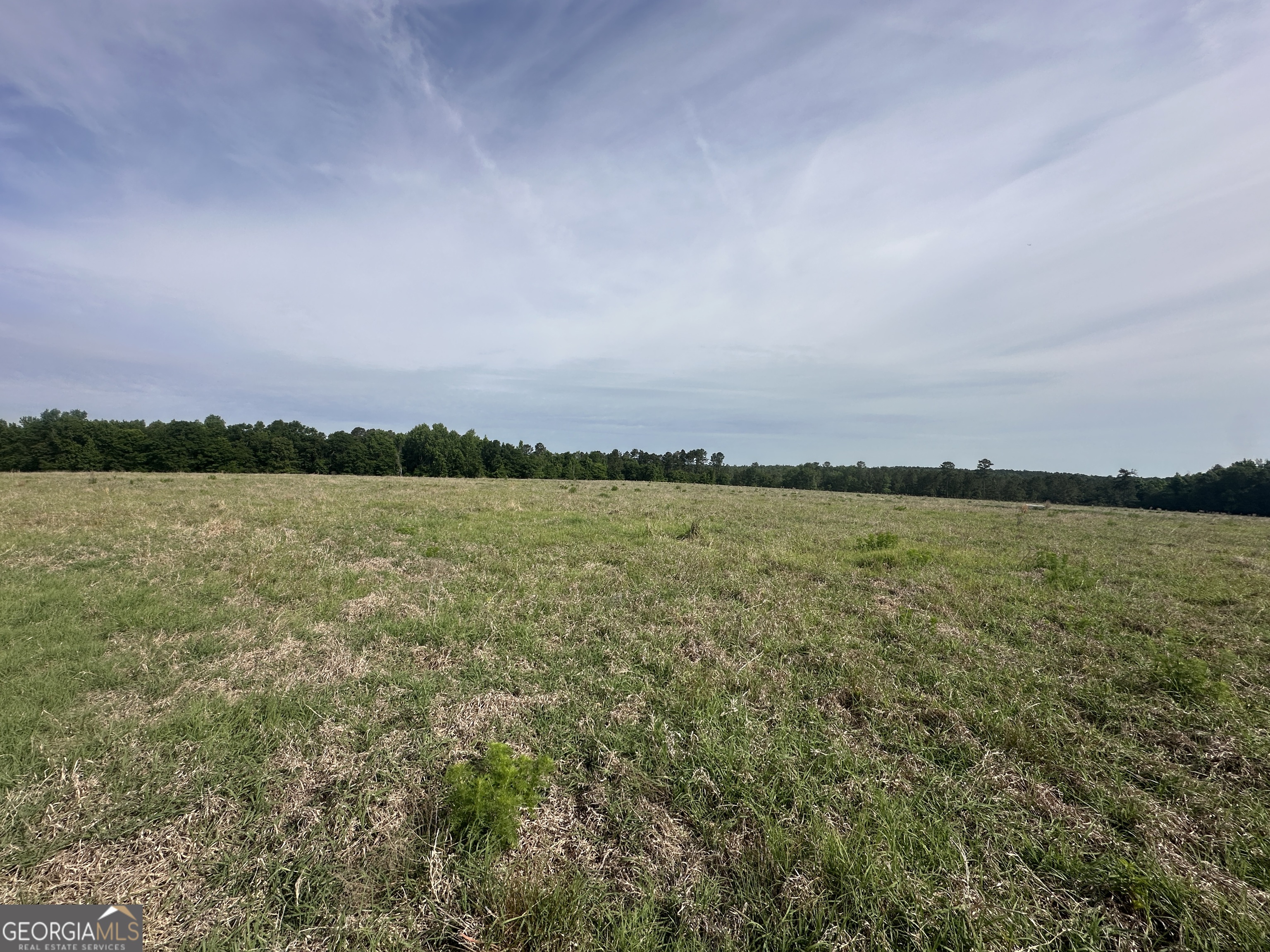 1309 Jarrell Pond Road Sylvania, GA 30467 - Photo 13 of 42