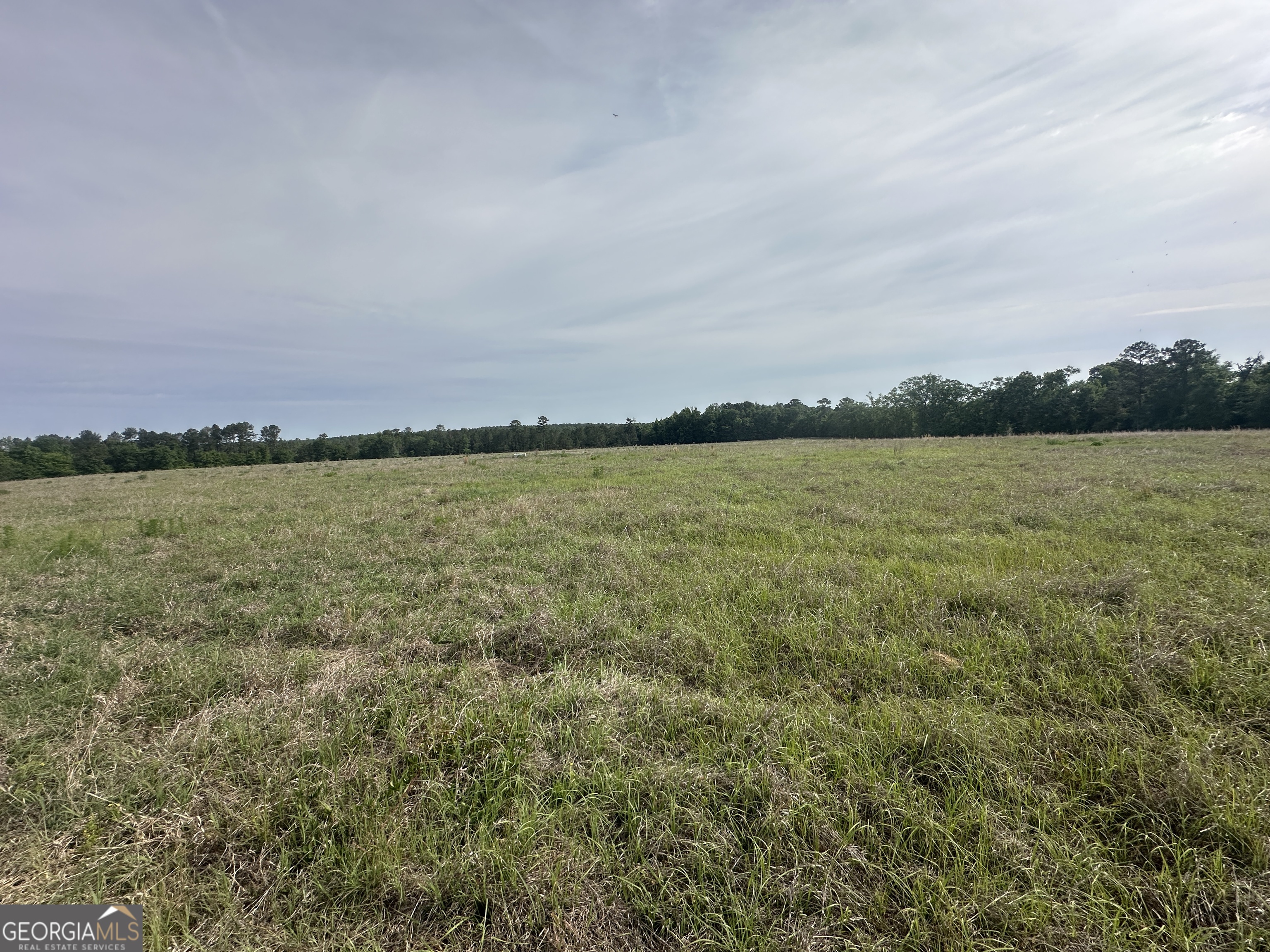 1309 Jarrell Pond Road Sylvania, GA 30467 - Photo 14 of 42