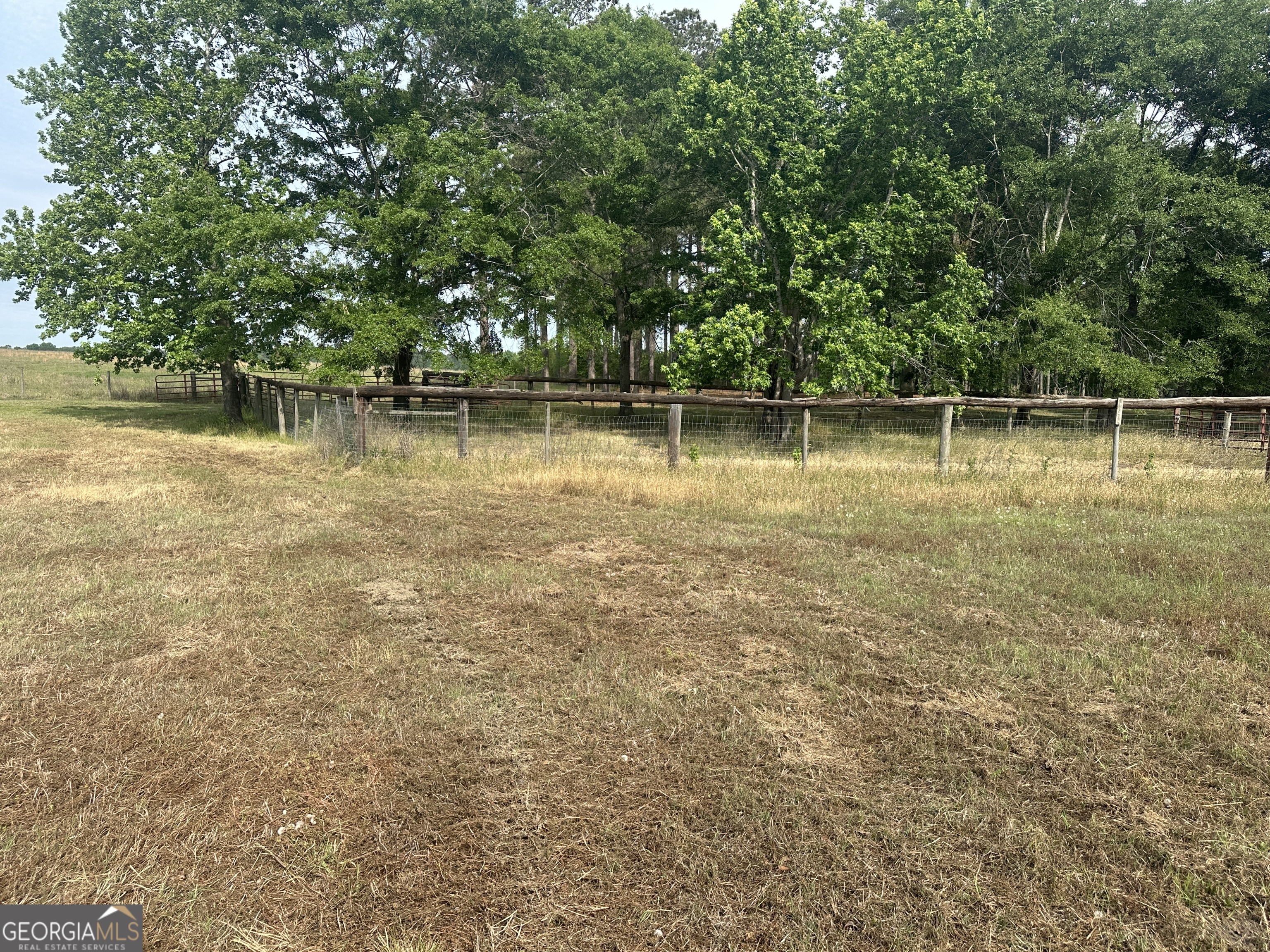 1309 Jarrell Pond Road Sylvania, GA 30467 - Photo 15 of 42