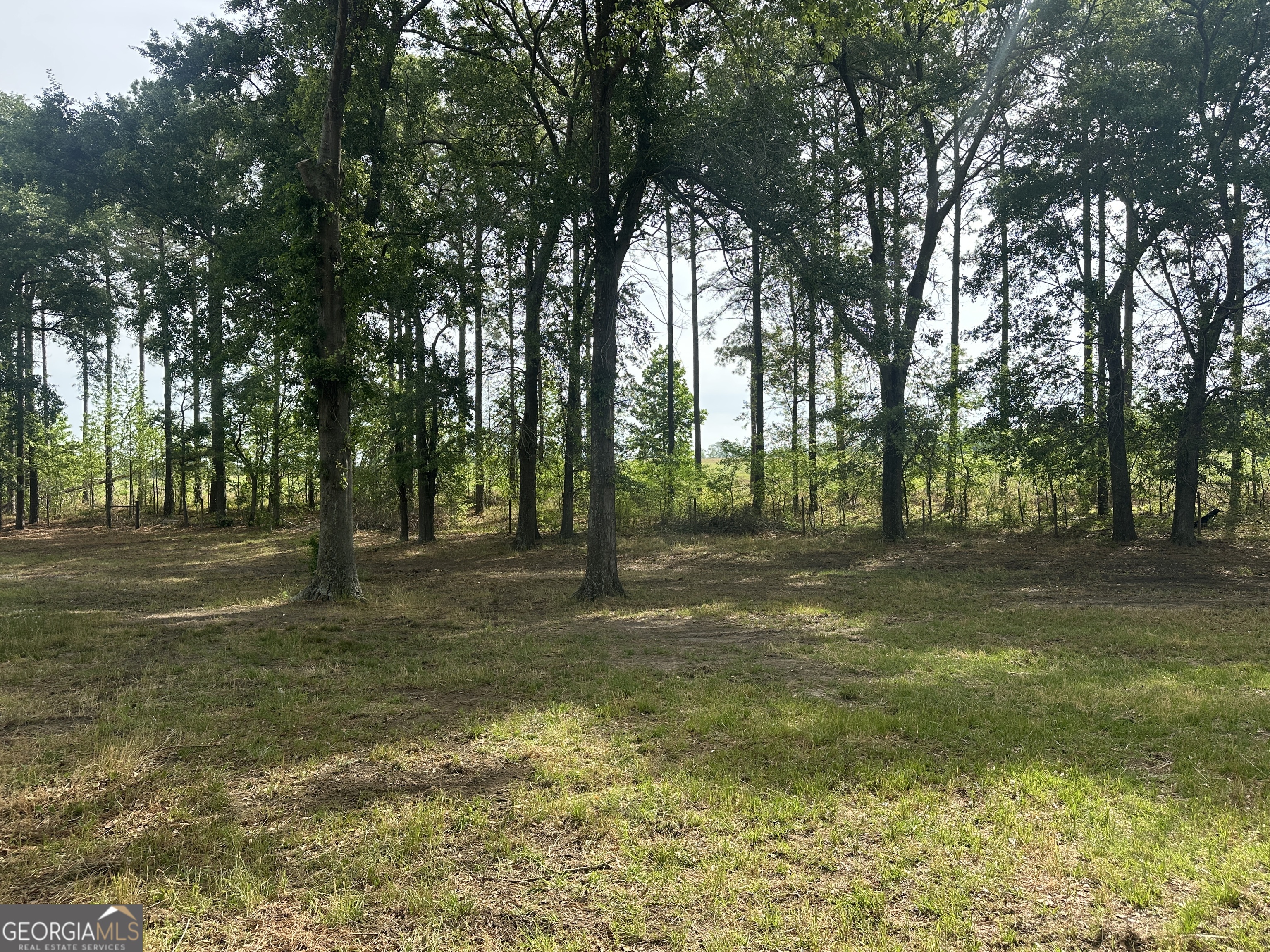 1309 Jarrell Pond Road Sylvania, GA 30467 - Photo 16 of 42