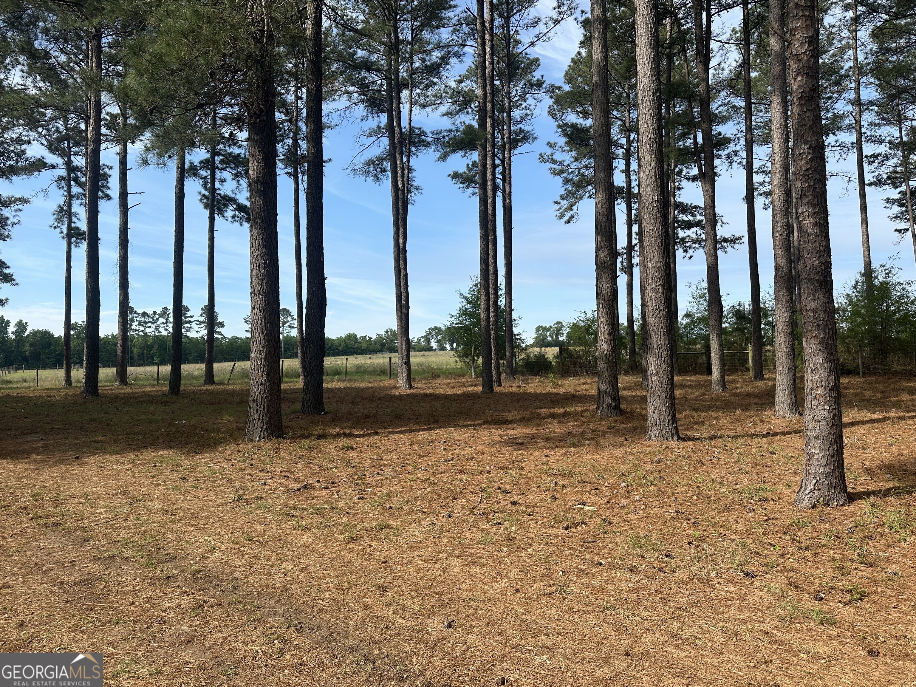 1309 Jarrell Pond Road Sylvania, GA 30467 - Photo 18 of 42