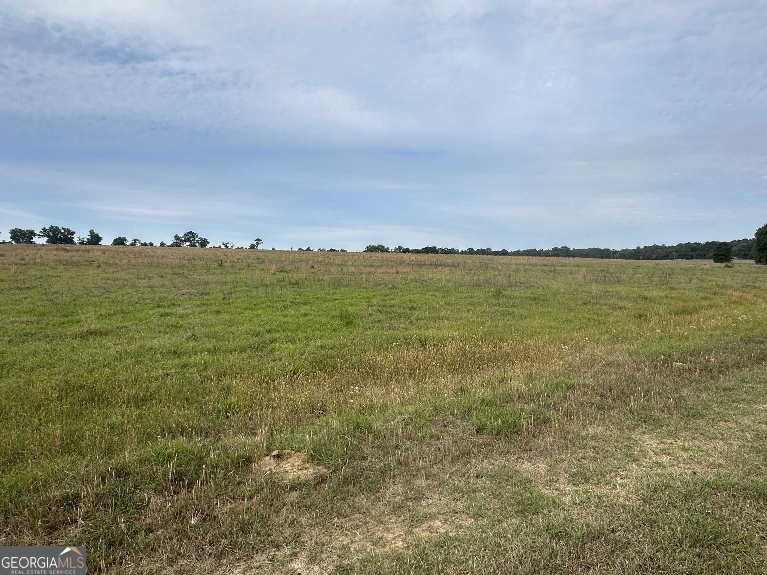 1309 Jarrell Pond Road Sylvania, GA 30467 - Photo 38 of 42
