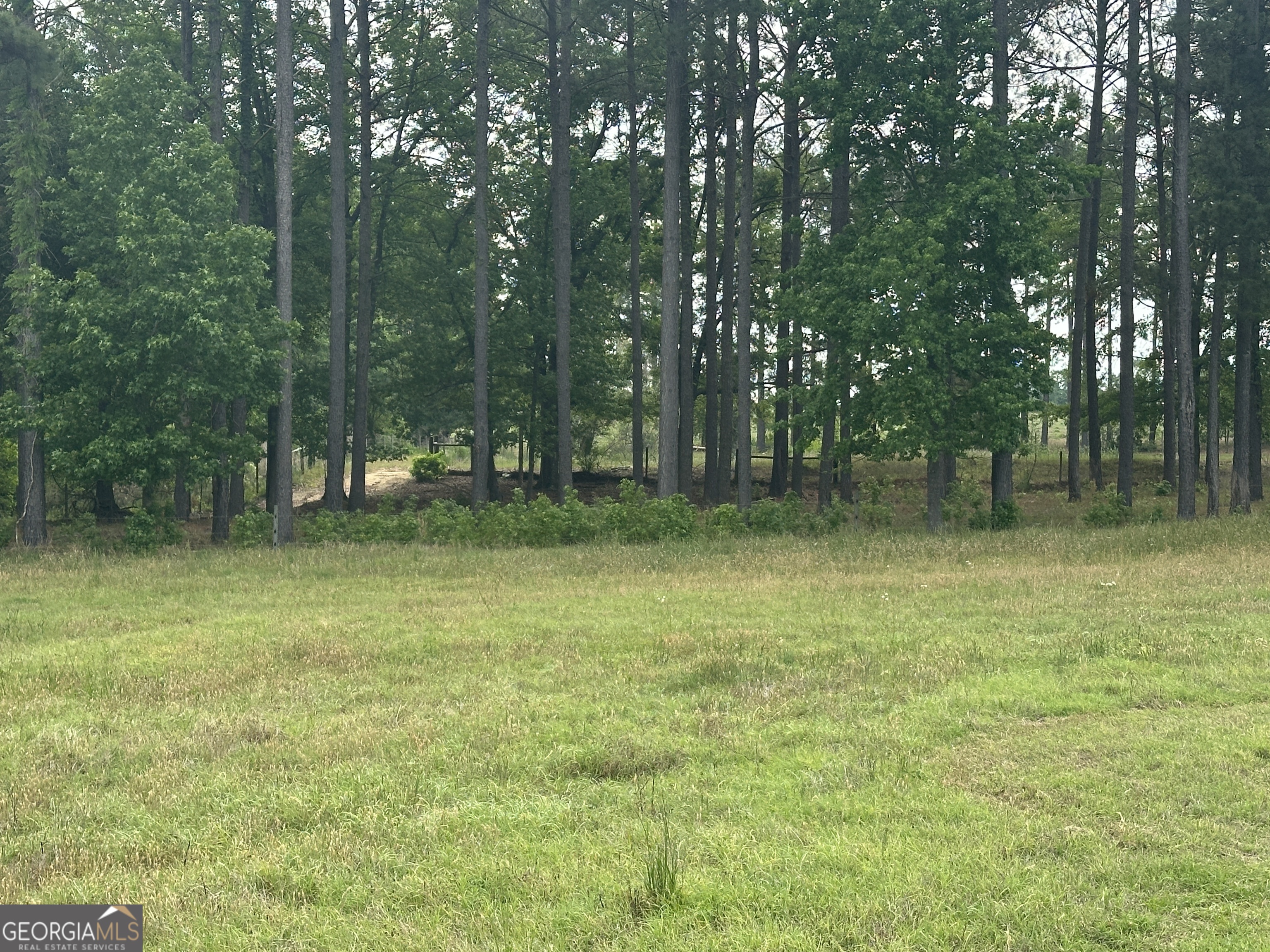 1309 Jarrell Pond Road Sylvania, GA 30467 - Photo 39 of 42