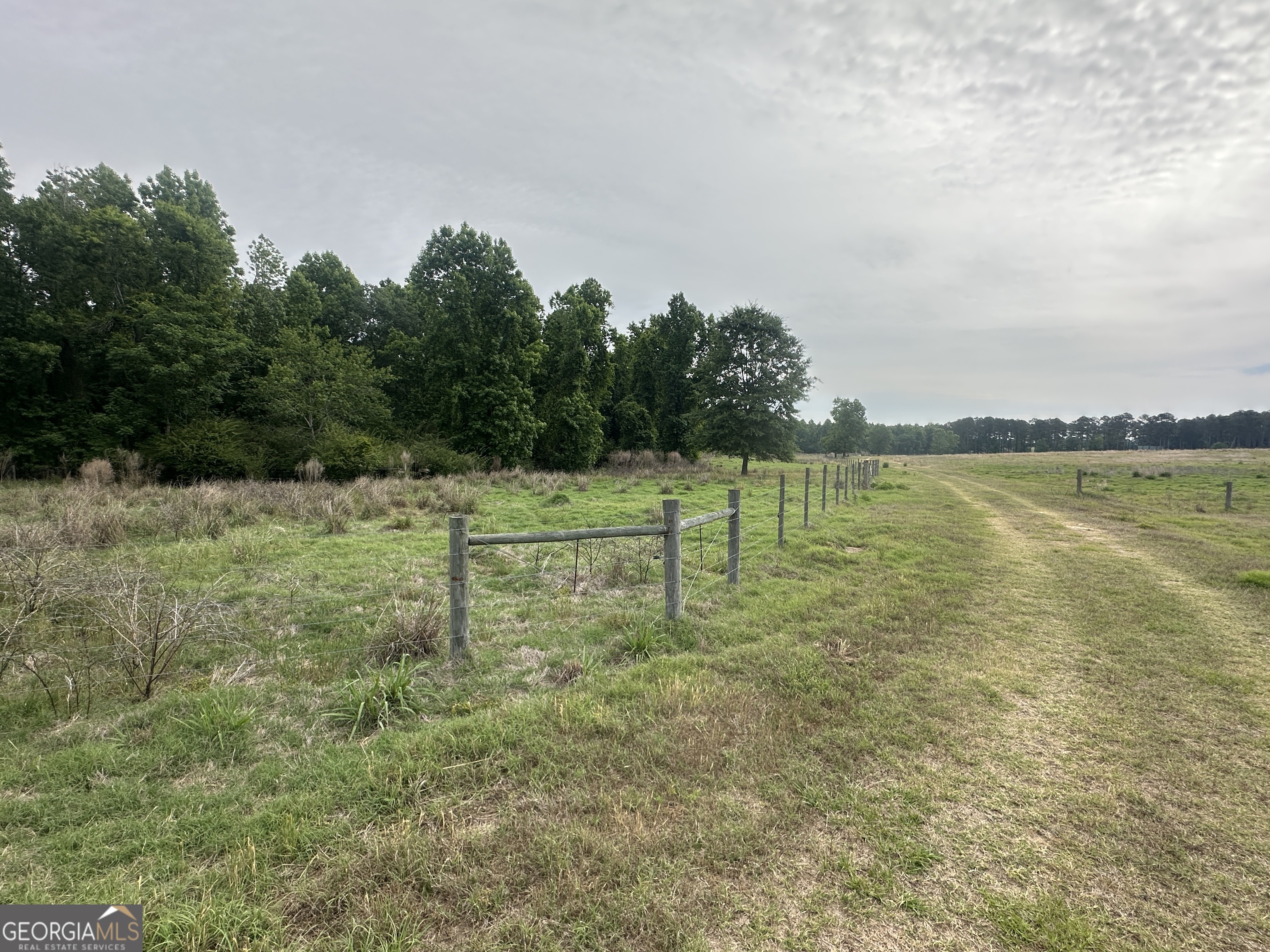 1309 Jarrell Pond Road Sylvania, GA 30467 - Photo 40 of 42