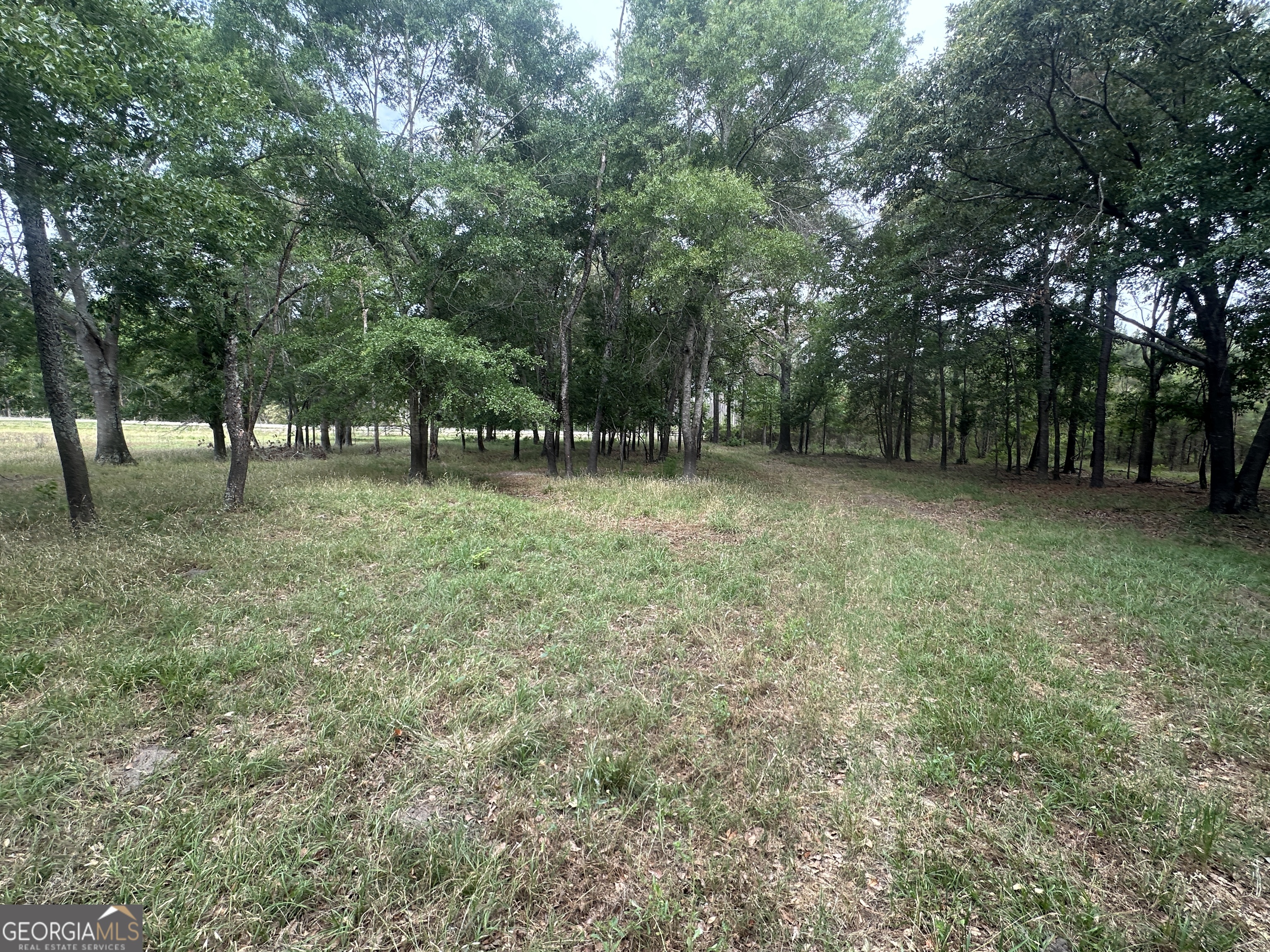 1309 Jarrell Pond Road Sylvania, GA 30467 - Photo 41 of 42