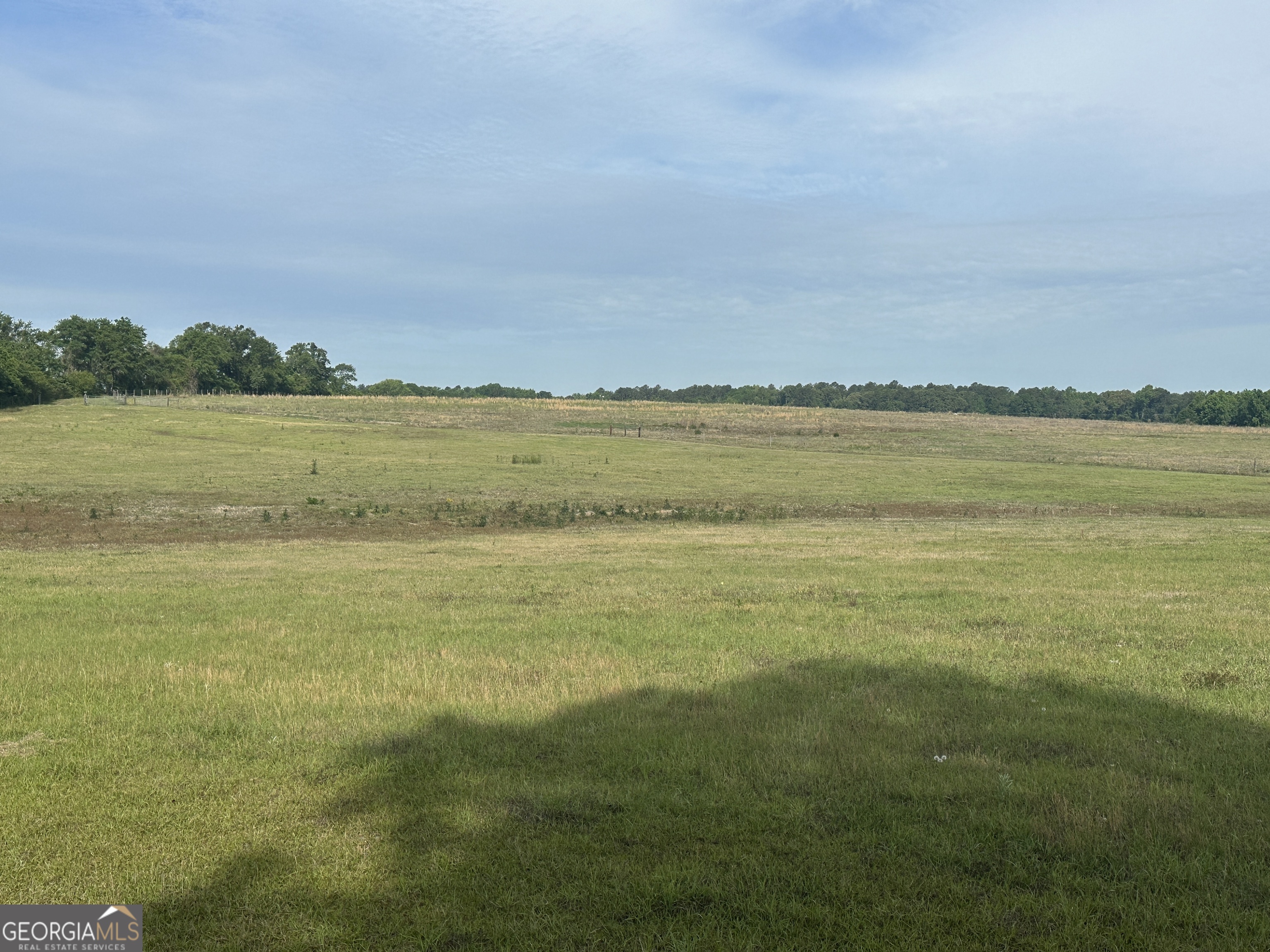 1309 Jarrell Pond Road Sylvania, GA 30467 - Photo 5 of 42