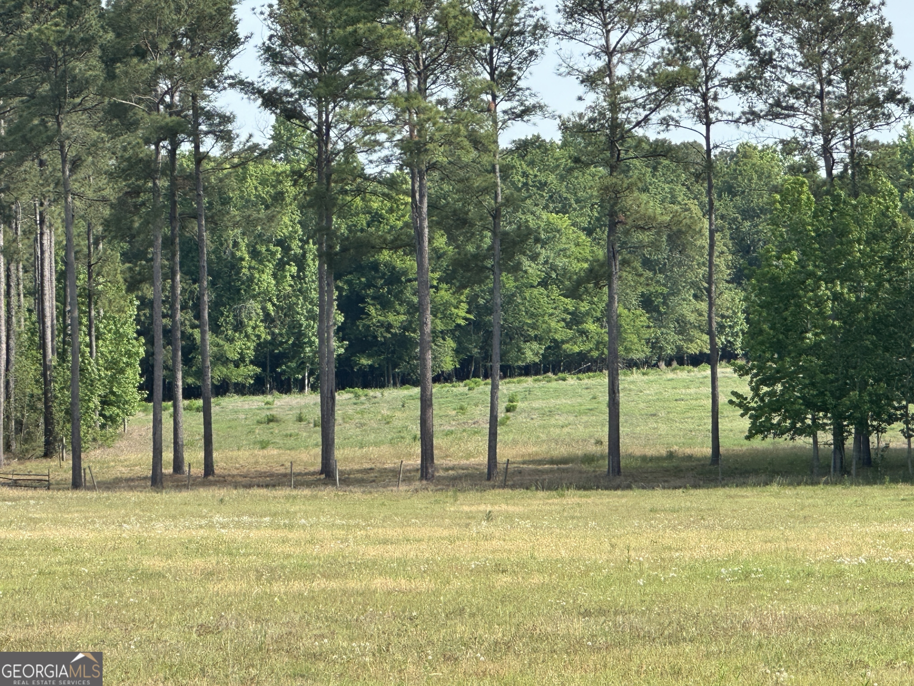 1309 Jarrell Pond Road Sylvania, GA 30467 - Photo 6 of 42