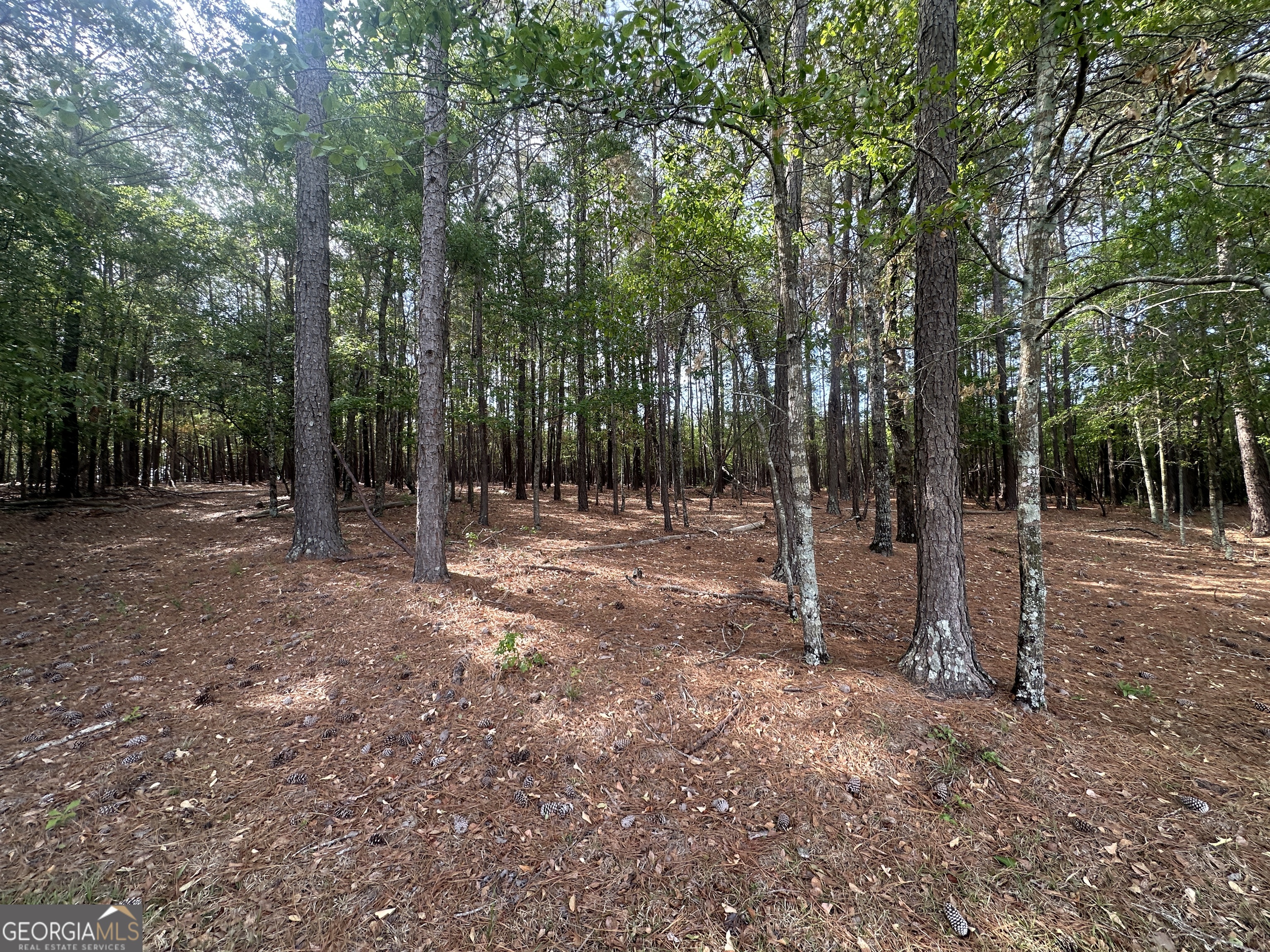 1309 Jarrell Pond Road Sylvania, GA 30467 - Photo 7 of 42
