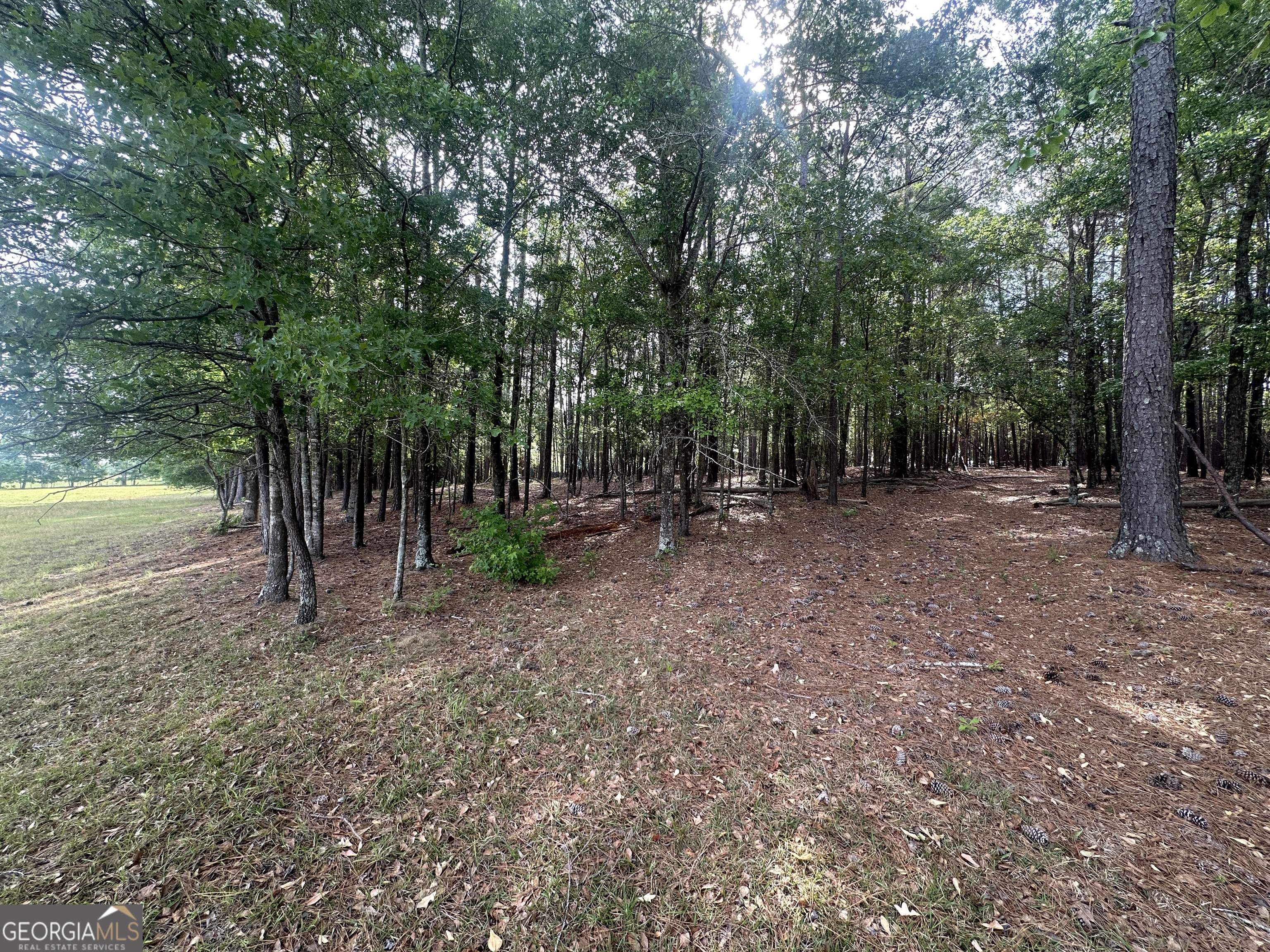 1309 Jarrell Pond Road Sylvania, GA 30467 - Photo 8 of 42