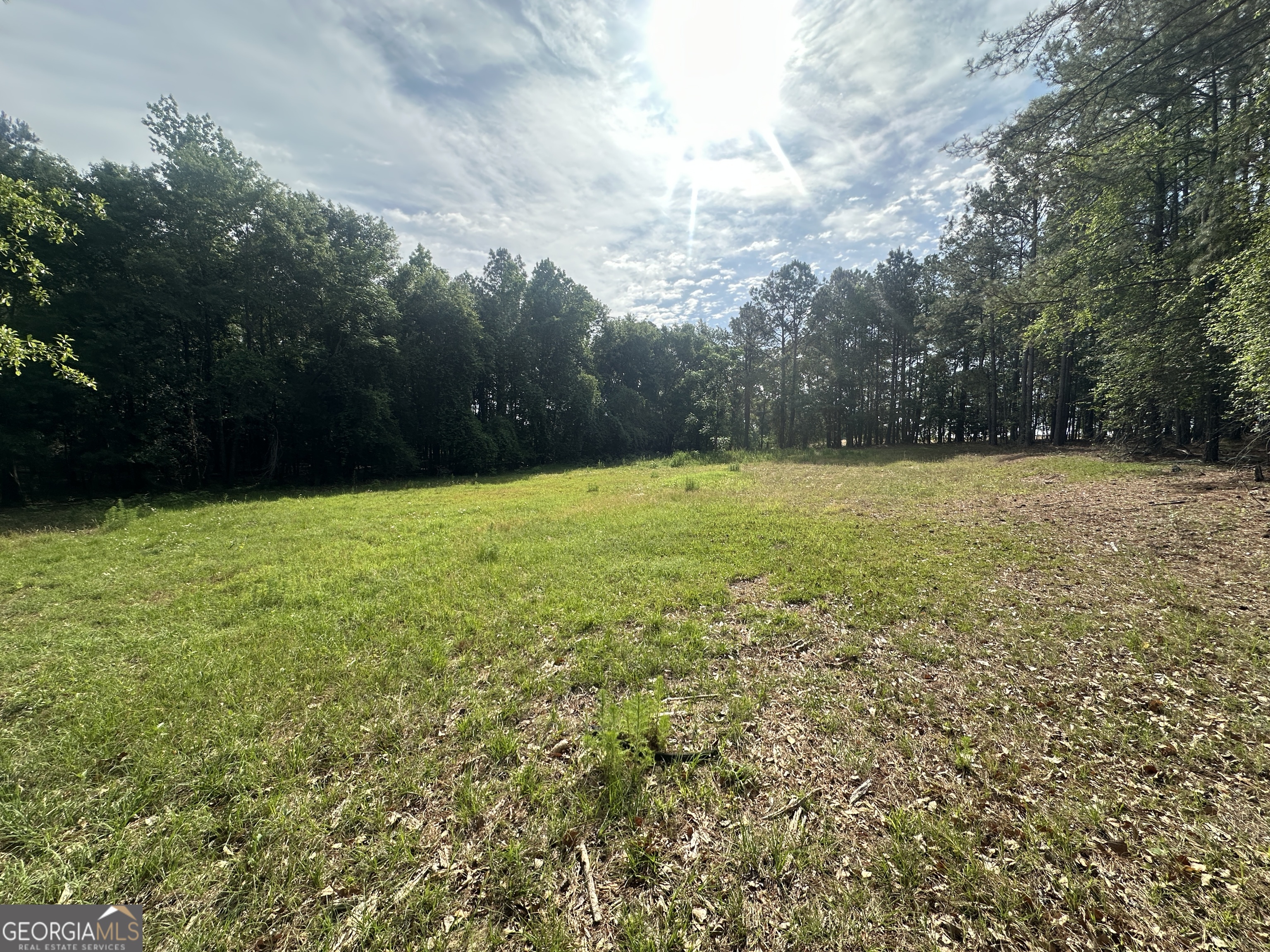 1309 Jarrell Pond Road Sylvania, GA 30467 - Photo 9 of 42