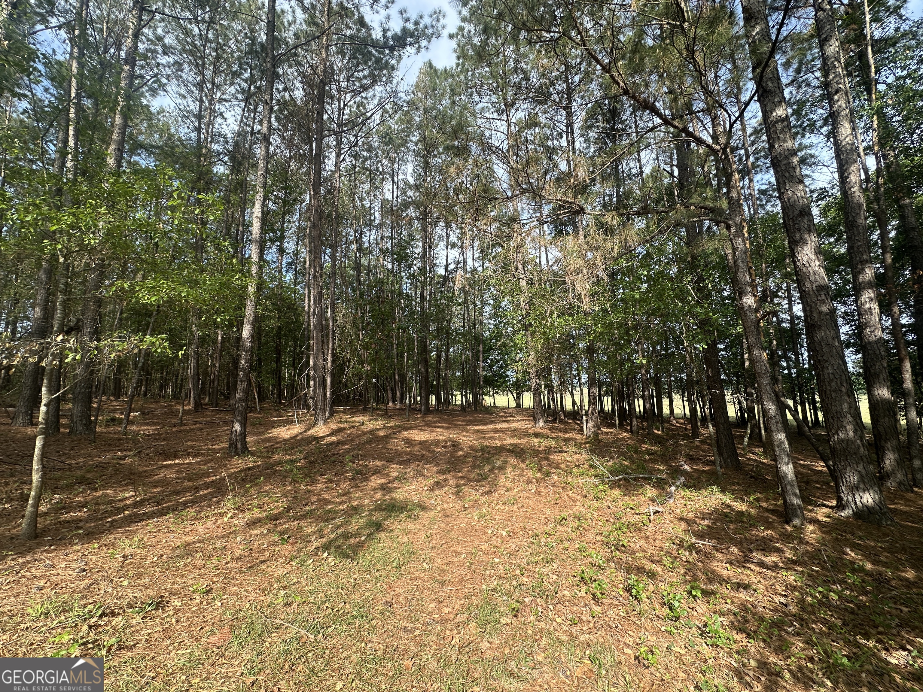 1309 Jarrell Pond Road Sylvania, GA 30467 - Photo 10 of 42