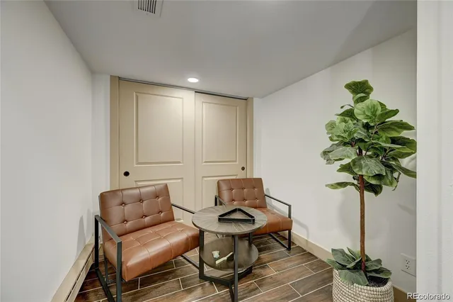 a living room with furniture a potted plant and a lamp