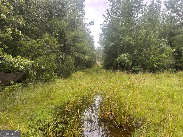 a view of swimming pool from a yard