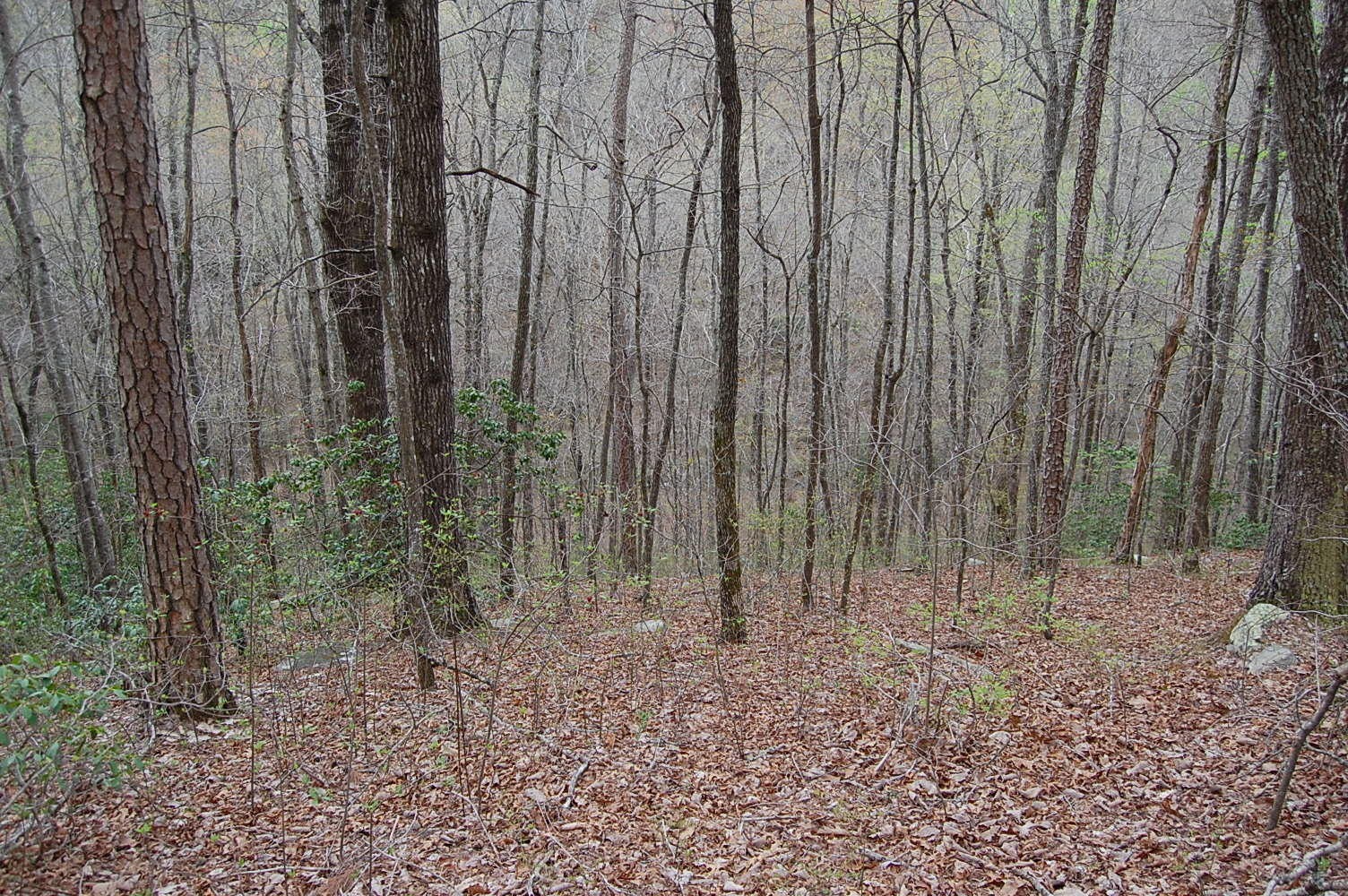 12 Flat Mountain Road Dunlap, TN 37327 - Photo 13 of 25 Gallery Image 13
