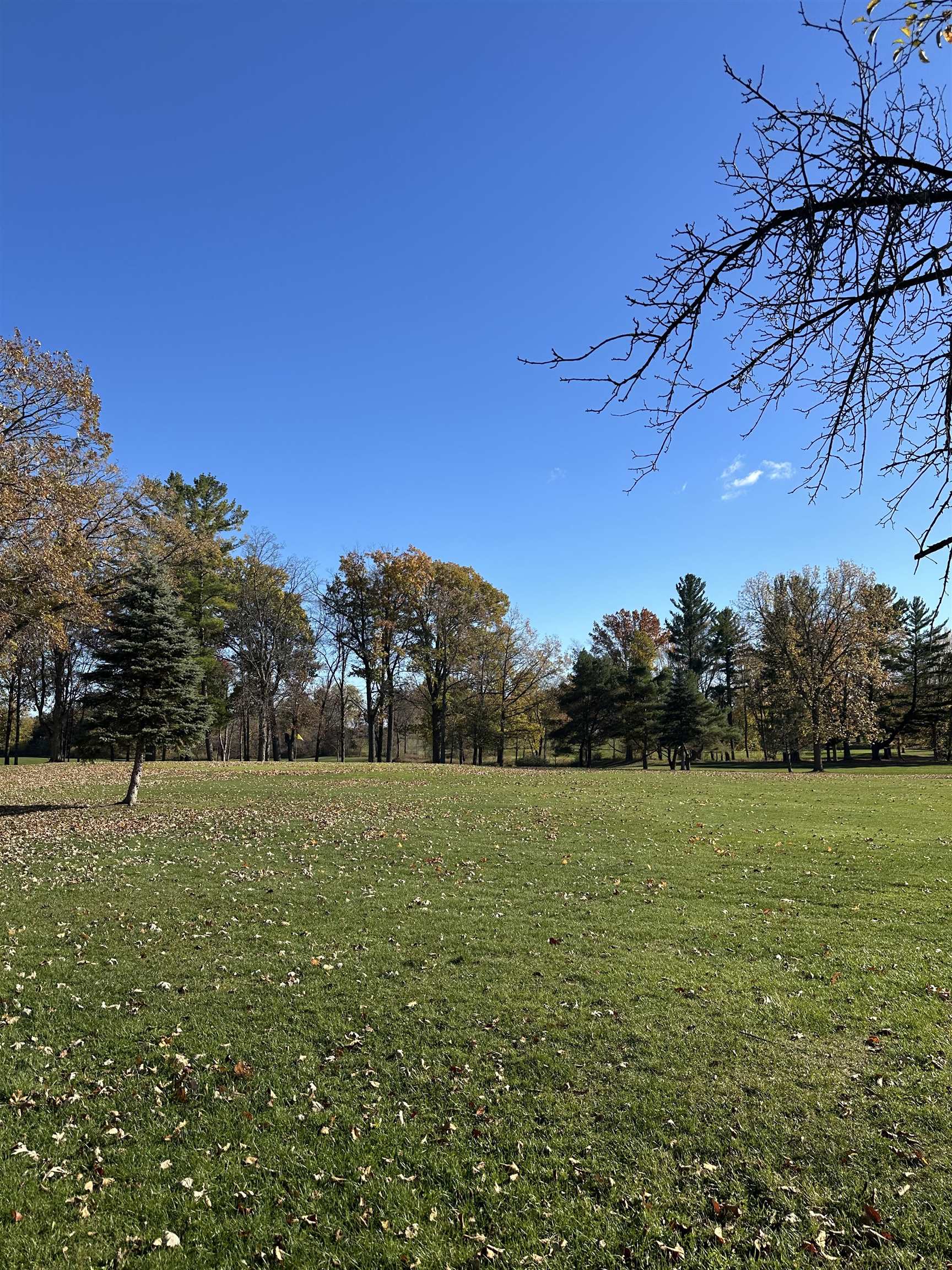 0 Drier Road Standish, MI 48658 - Photo 25 of 34